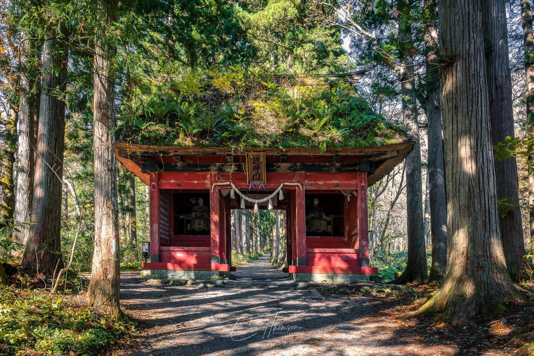 Togakushi Shrine