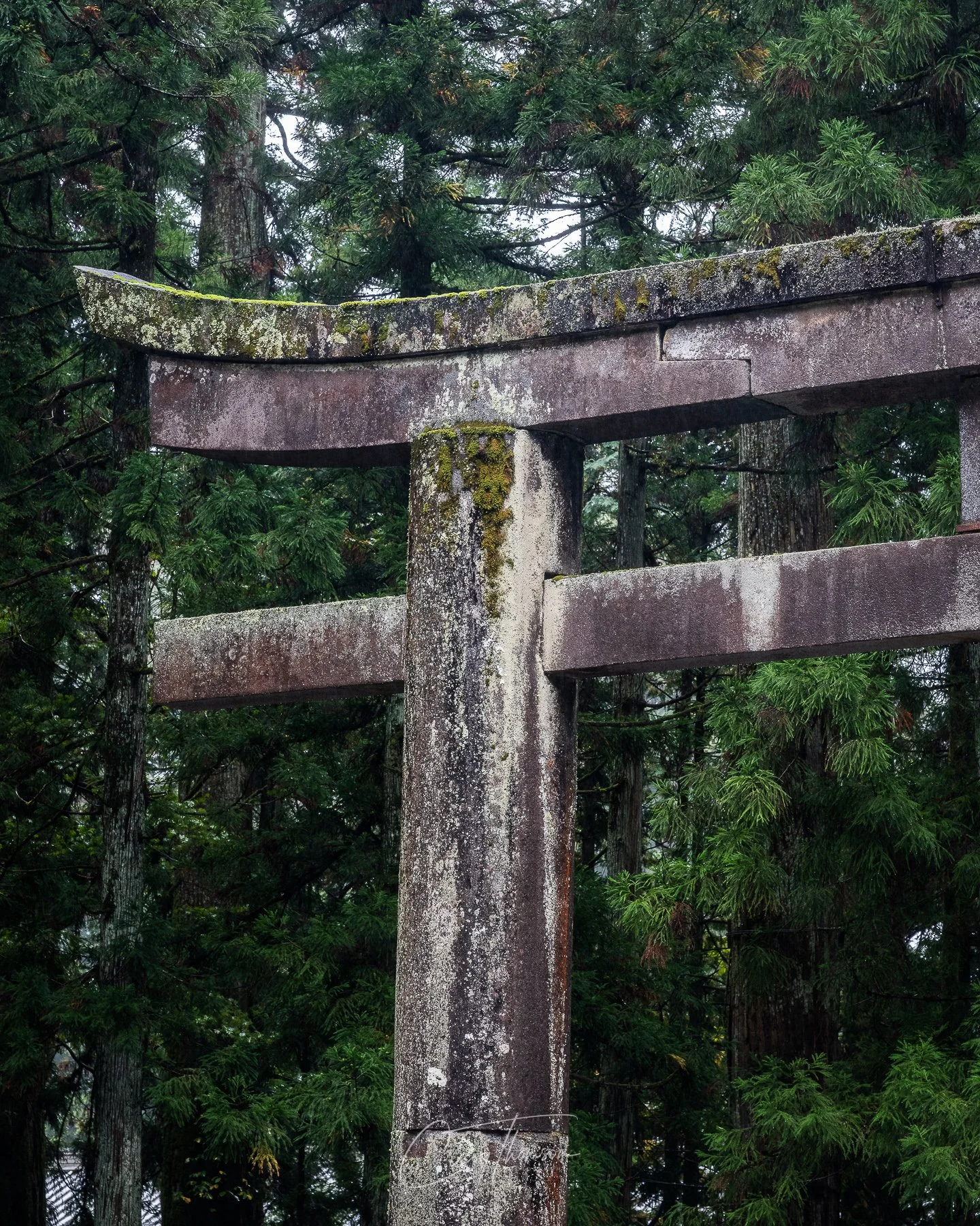 Moss Torii