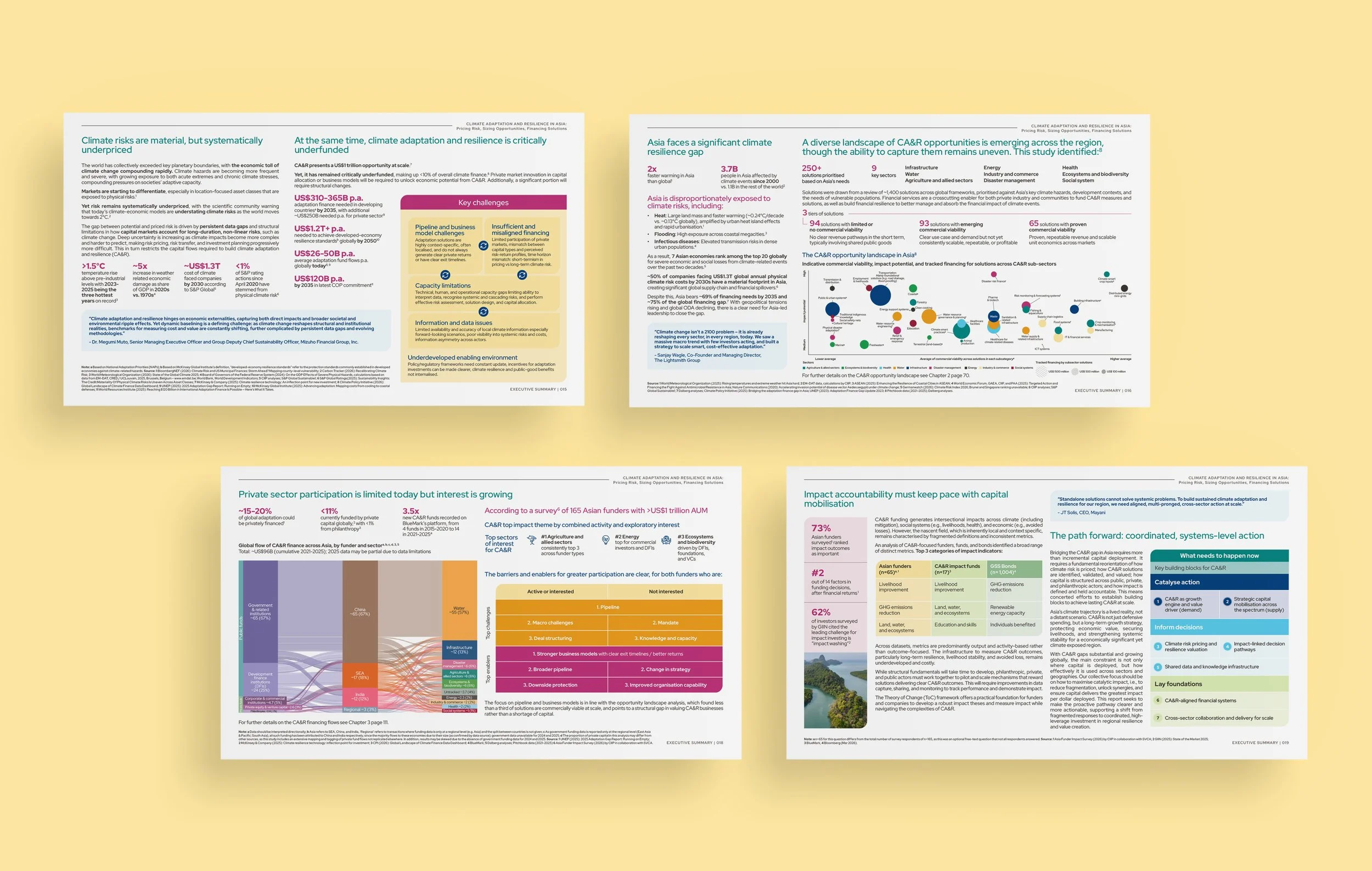 CIIP-Climate-Adaptation-and-Resilience-Study_03.jpg