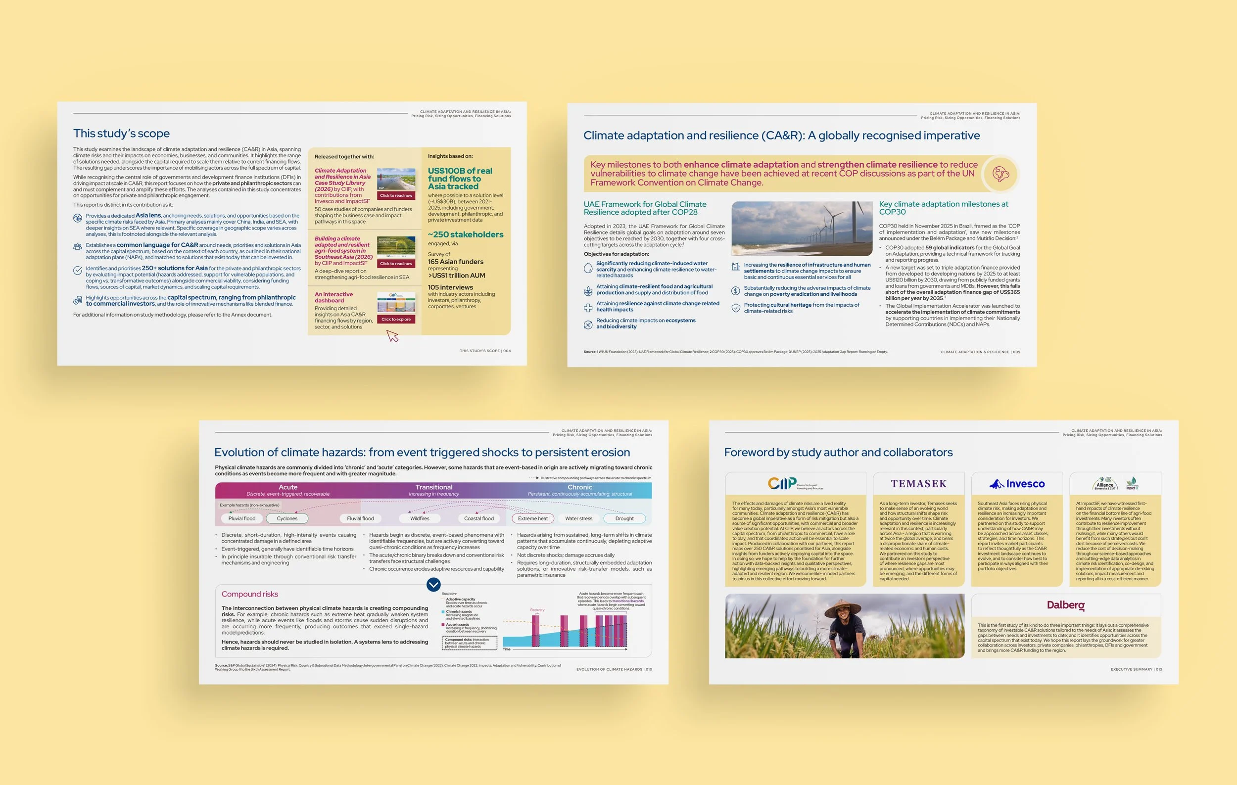 CIIP-Climate-Adaptation-and-Resilience-Study_02.jpg