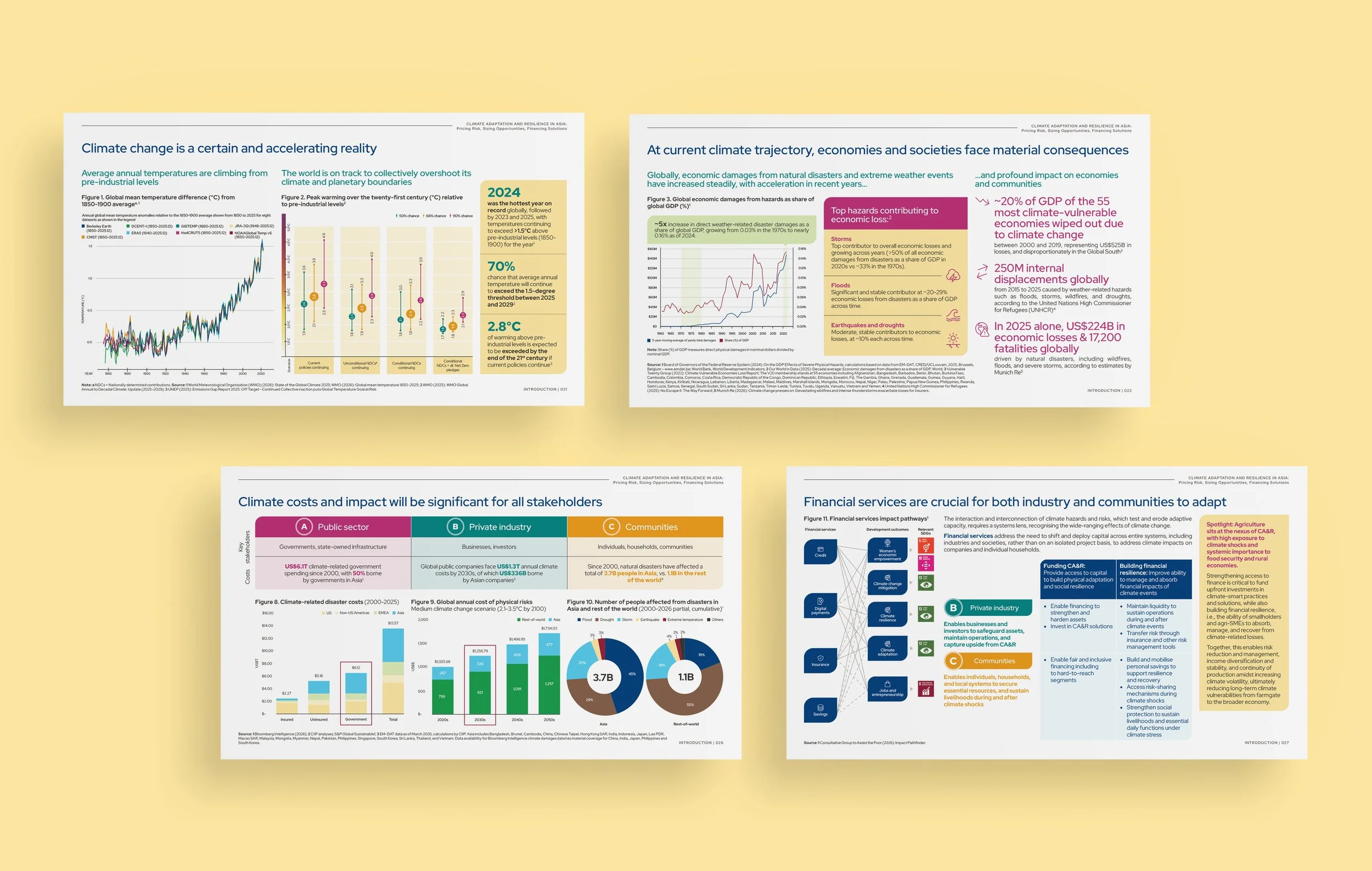CIIP-Climate-Adaptation-and-Resilience-Study_04.jpg