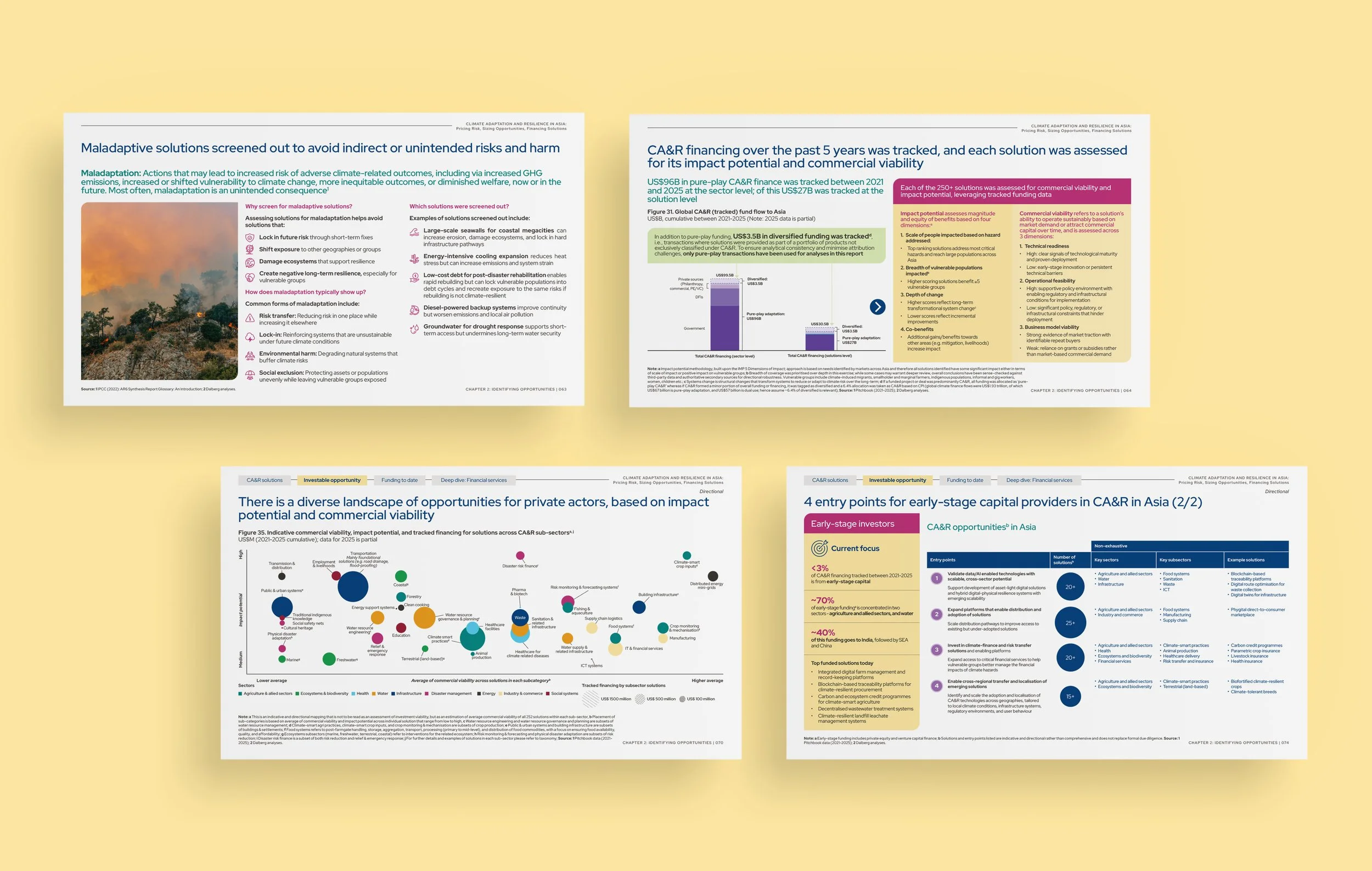 CIIP-Climate-Adaptation-and-Resilience-Study_08.jpg