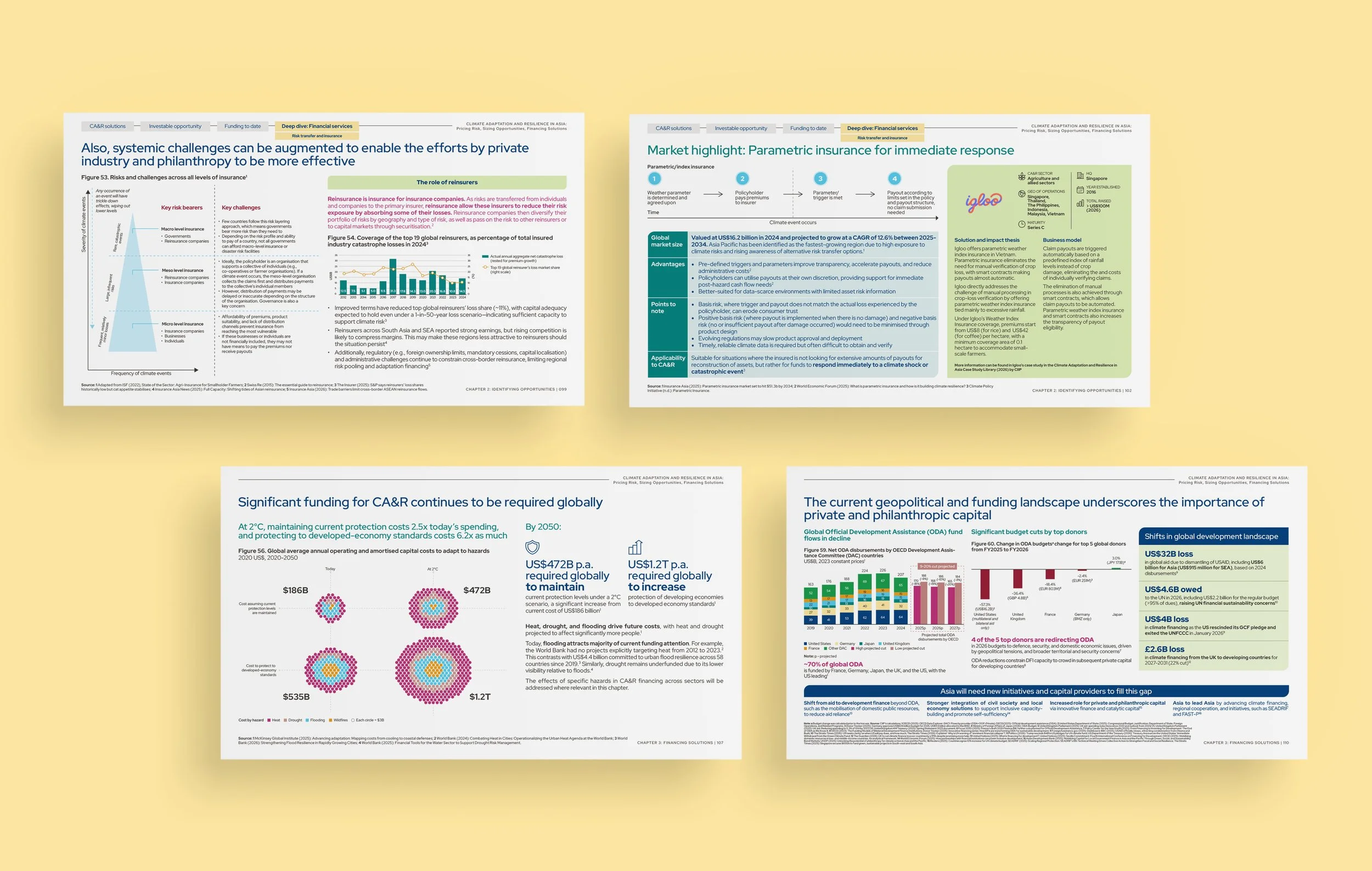 CIIP-Climate-Adaptation-and-Resilience-Study_11.jpg