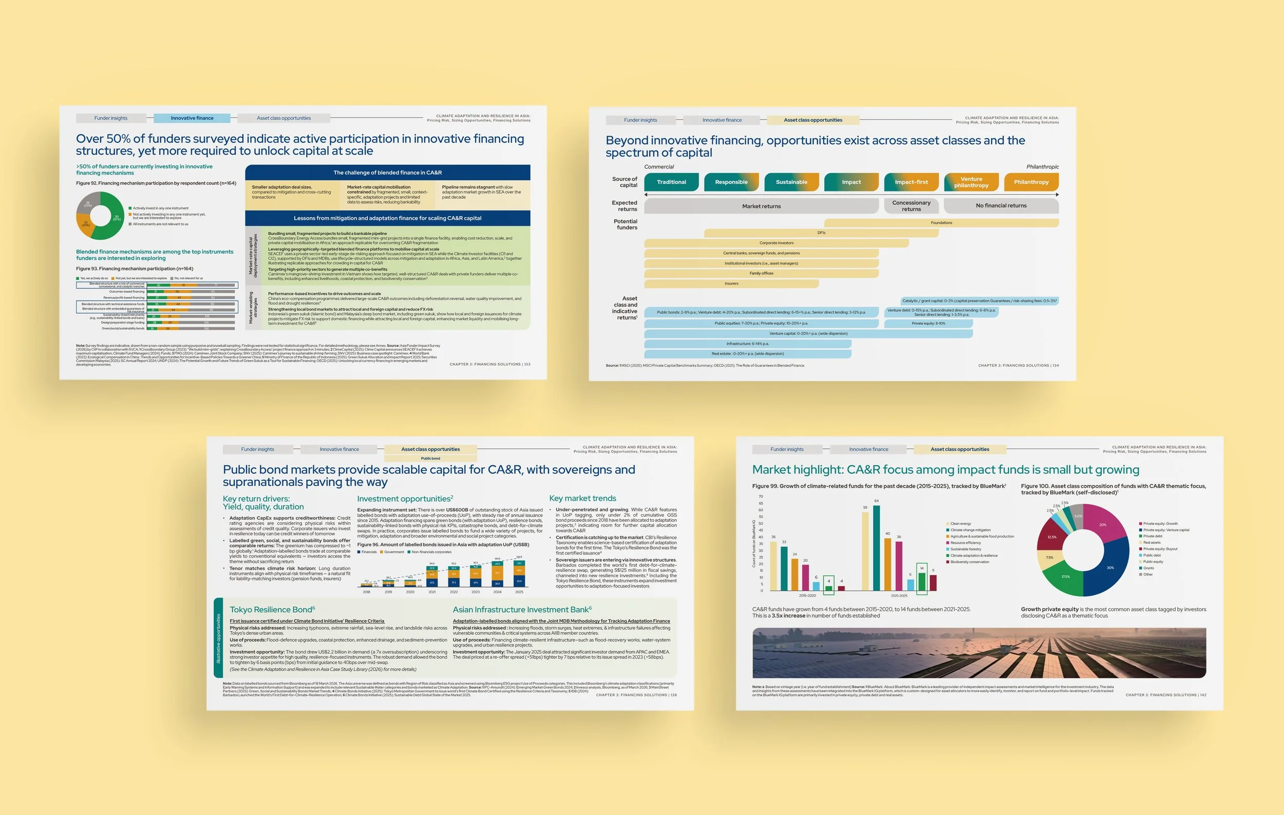 CIIP-Climate-Adaptation-and-Resilience-Study_14.jpg