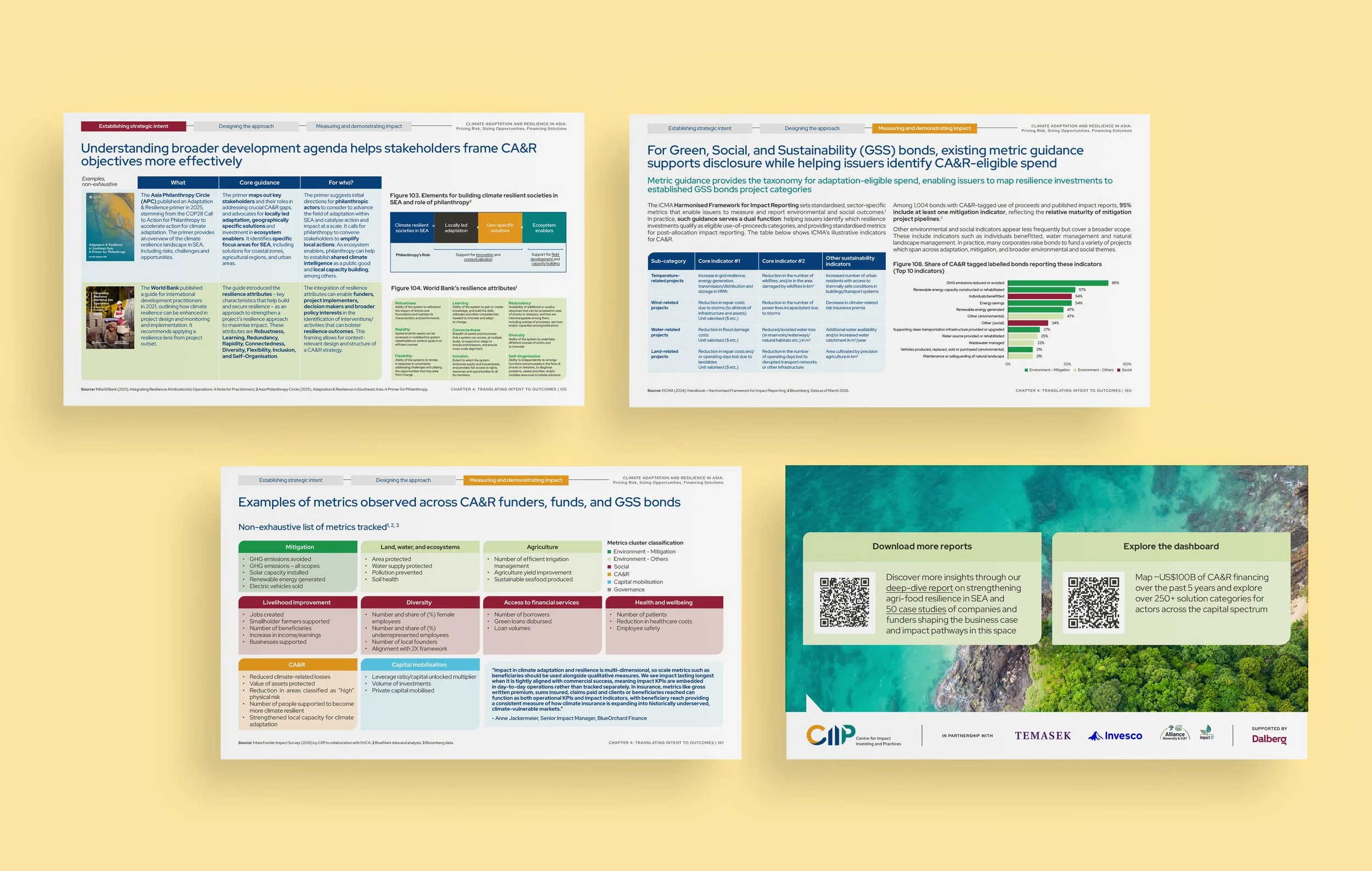 CIIP-Climate-Adaptation-and-Resilience-Study_16.jpg
