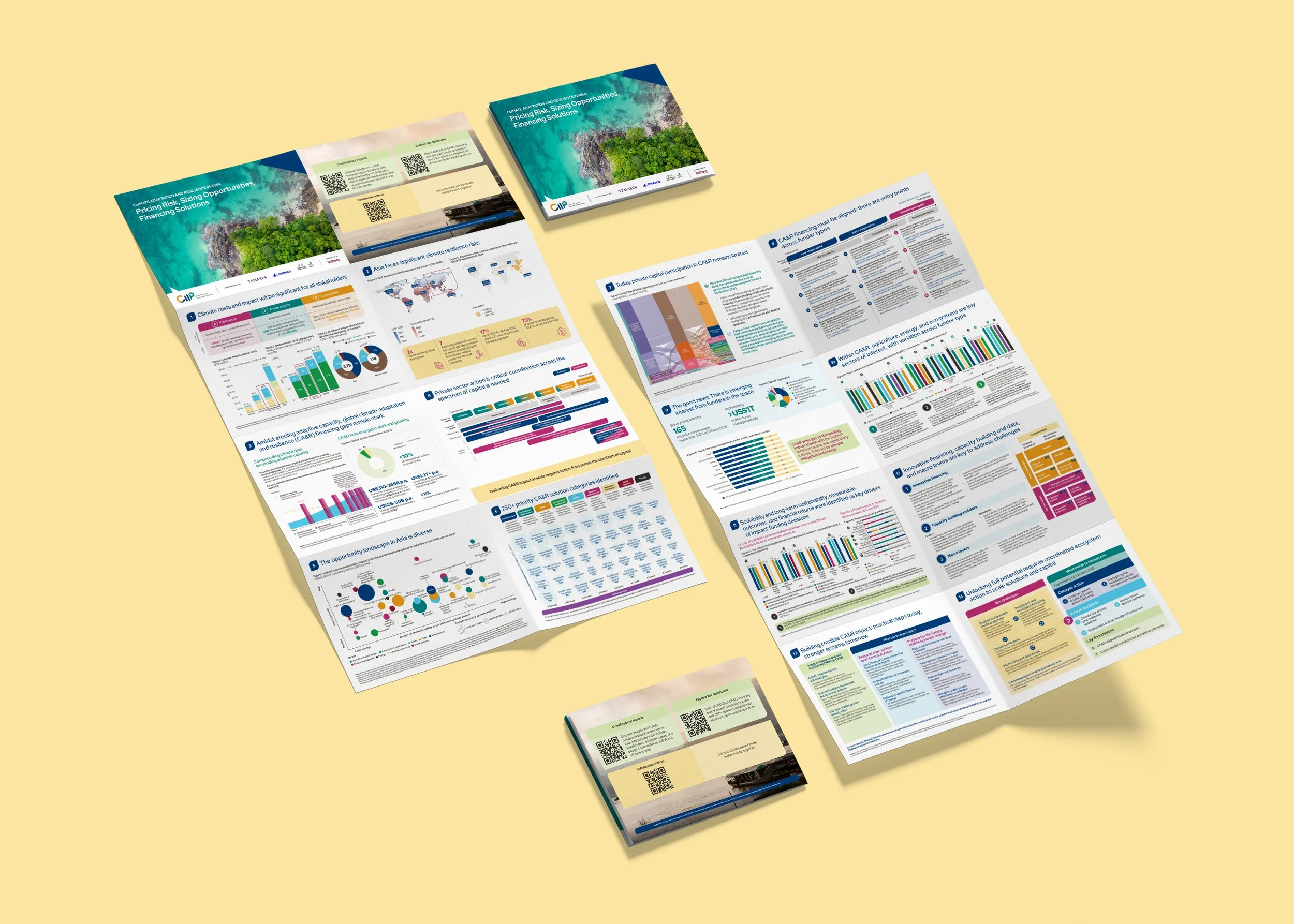 CIIP-Climate-Adaptation-and-Resilience-Study-Pamphlet.jpg