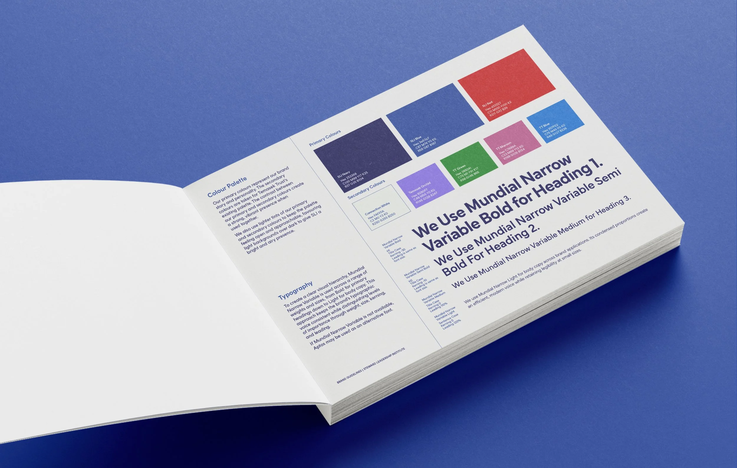 Steward Leadership Institute_Brand-Guidelines_02.jpg