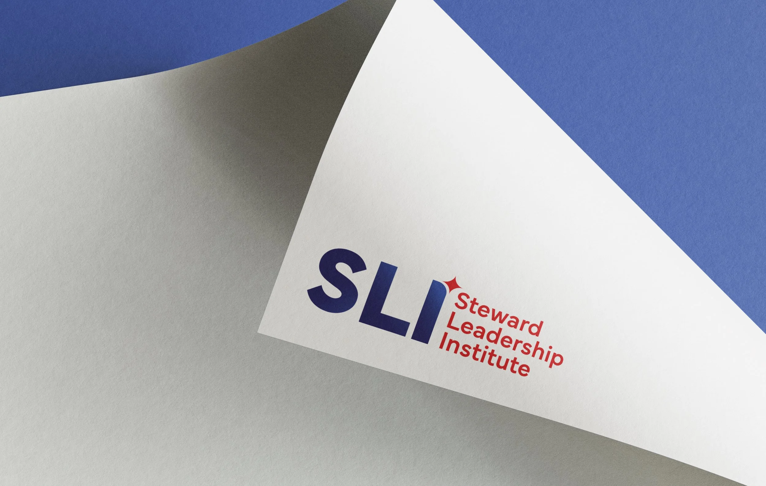 Steward Leadership Institute_Logo.jpg