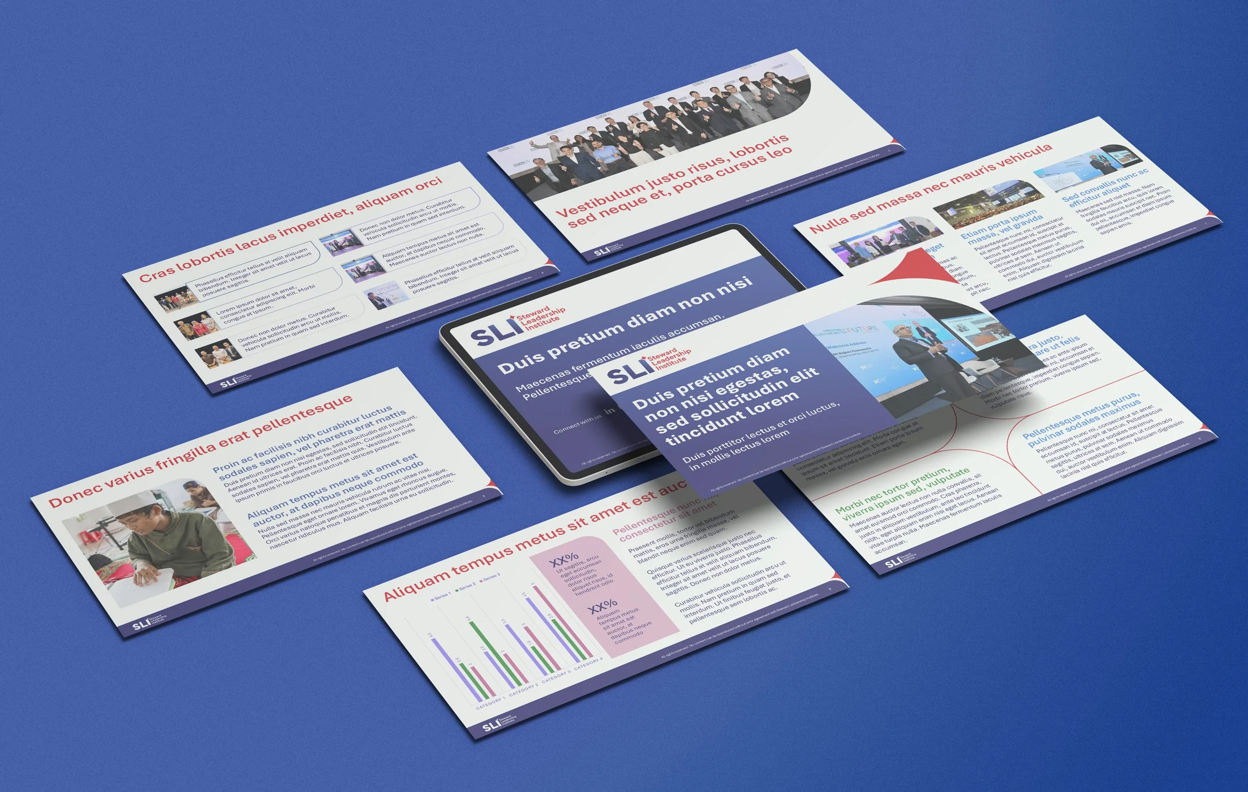 Steward-Leadership-Institute_PPT.jpg