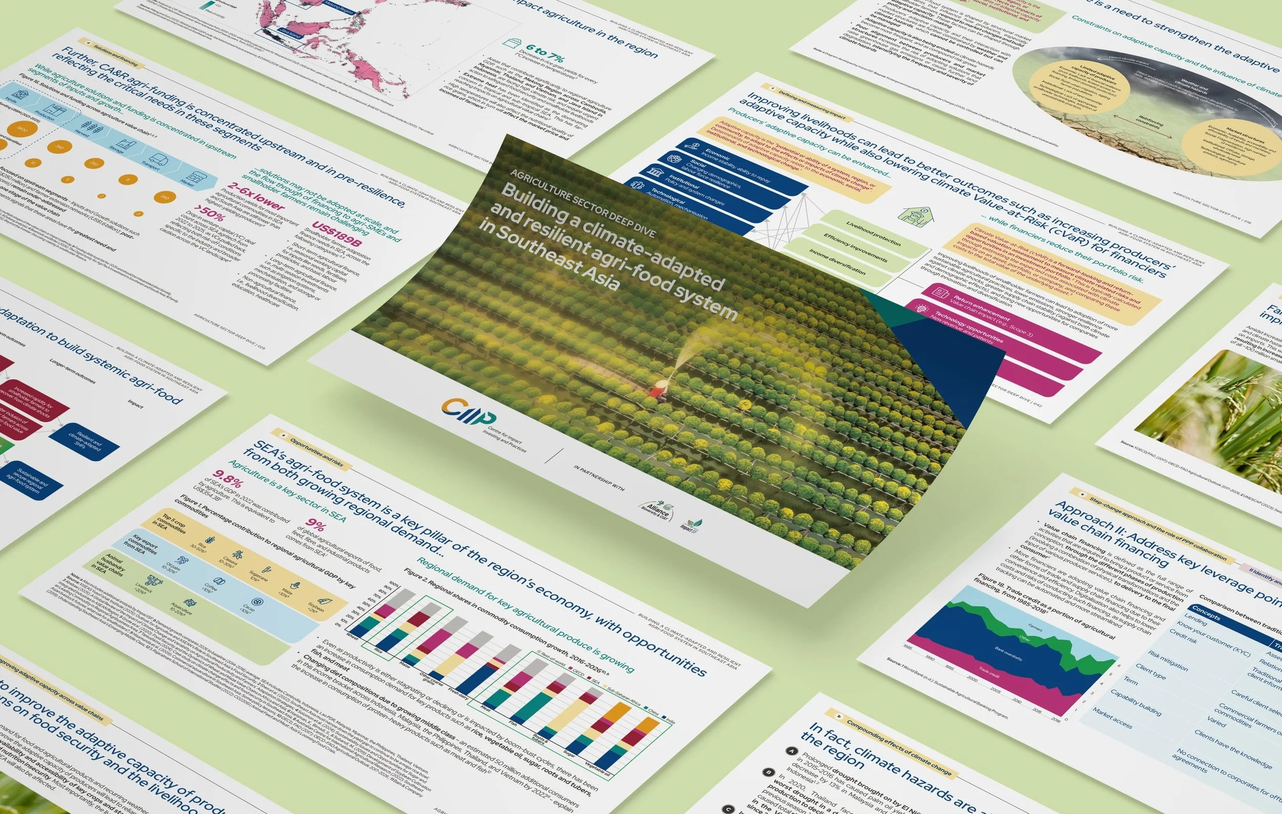 The Centre for Impact Investing and Practices (CIIP), a non-profit entity established by Temasek Trust, and ImpactSF published a sectoral deep dive focused on agri-food resilience in SEA. The report was designed by Studio Giraffe. Find out more at th