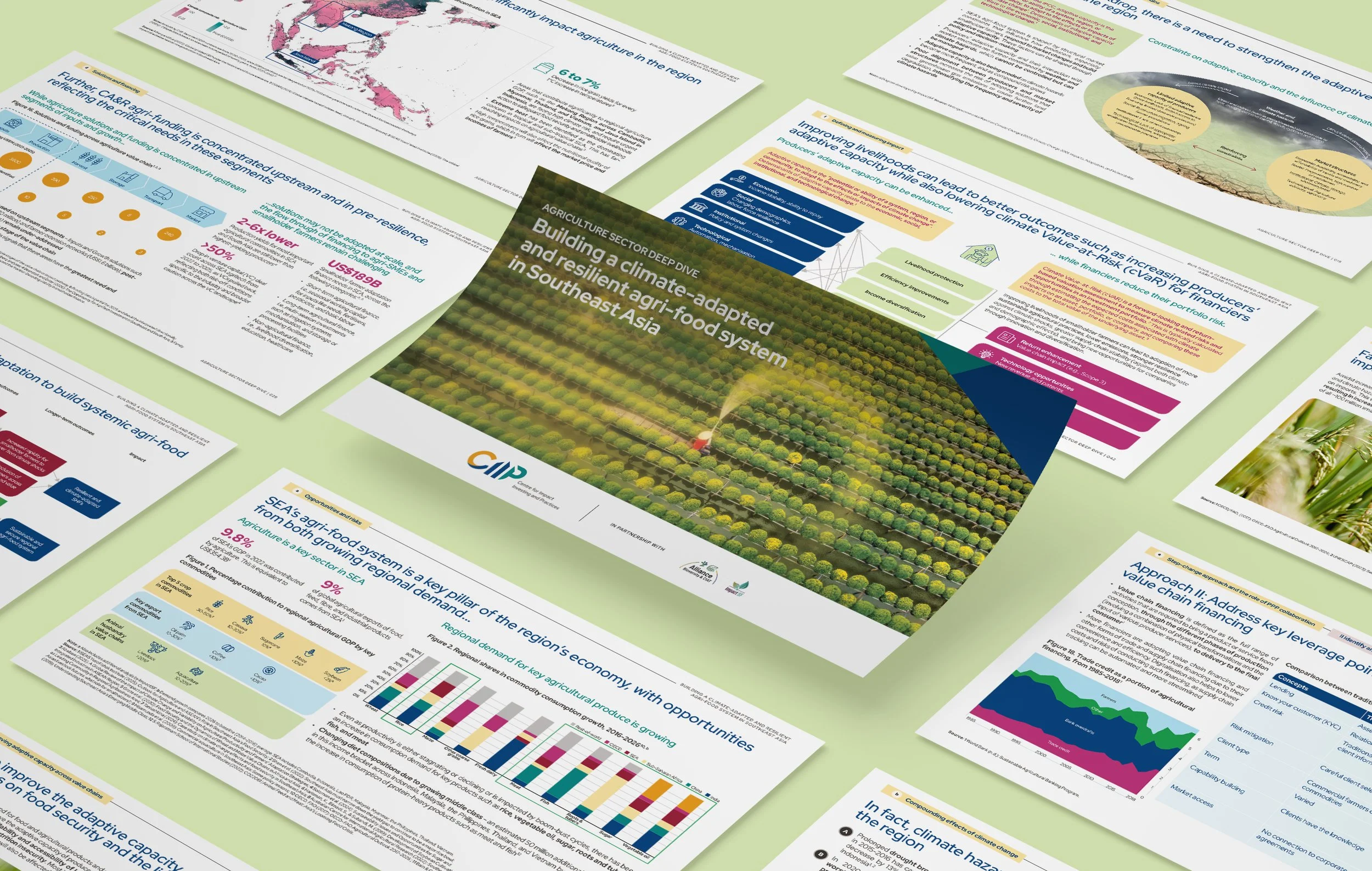CIIP Agriculture Sector Deep Dive