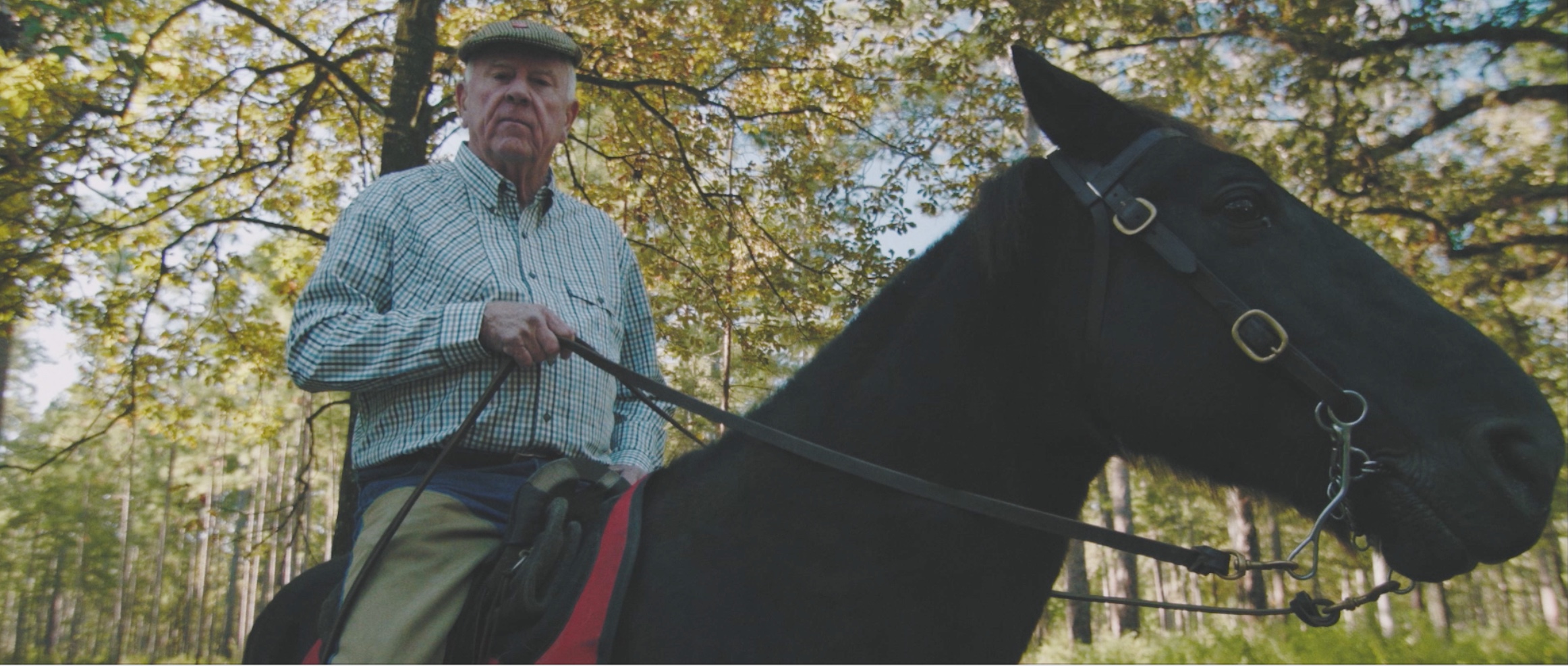 Older Gentleman on Horseback