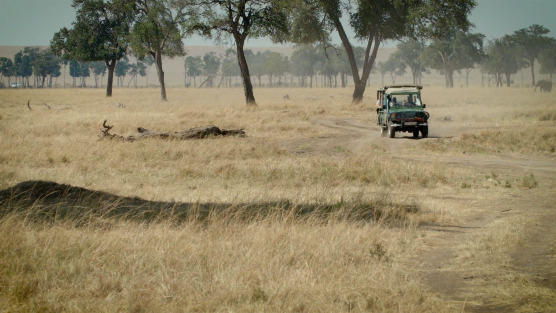 Jeep Driving through Wilderness