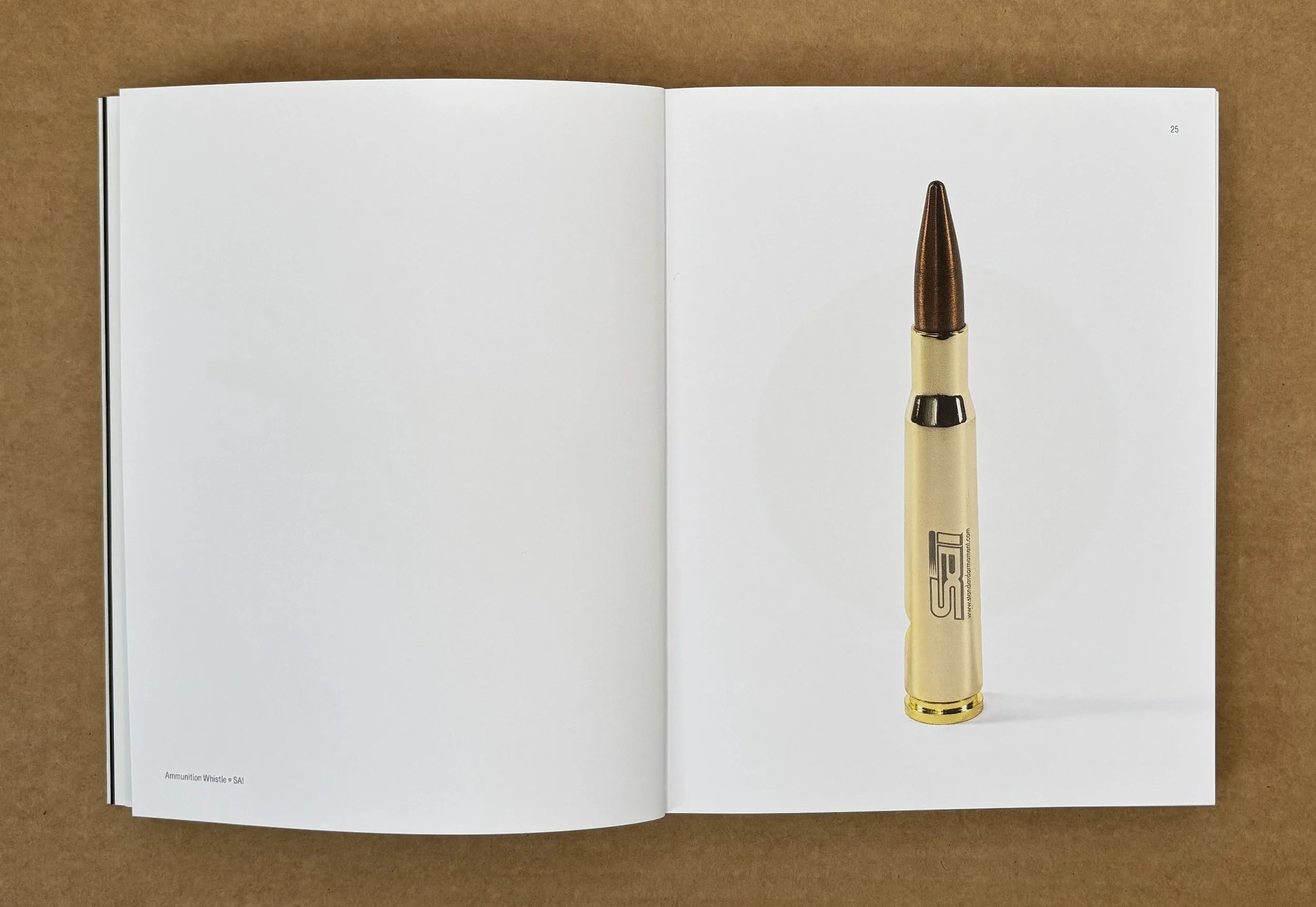a shell on page.jpg