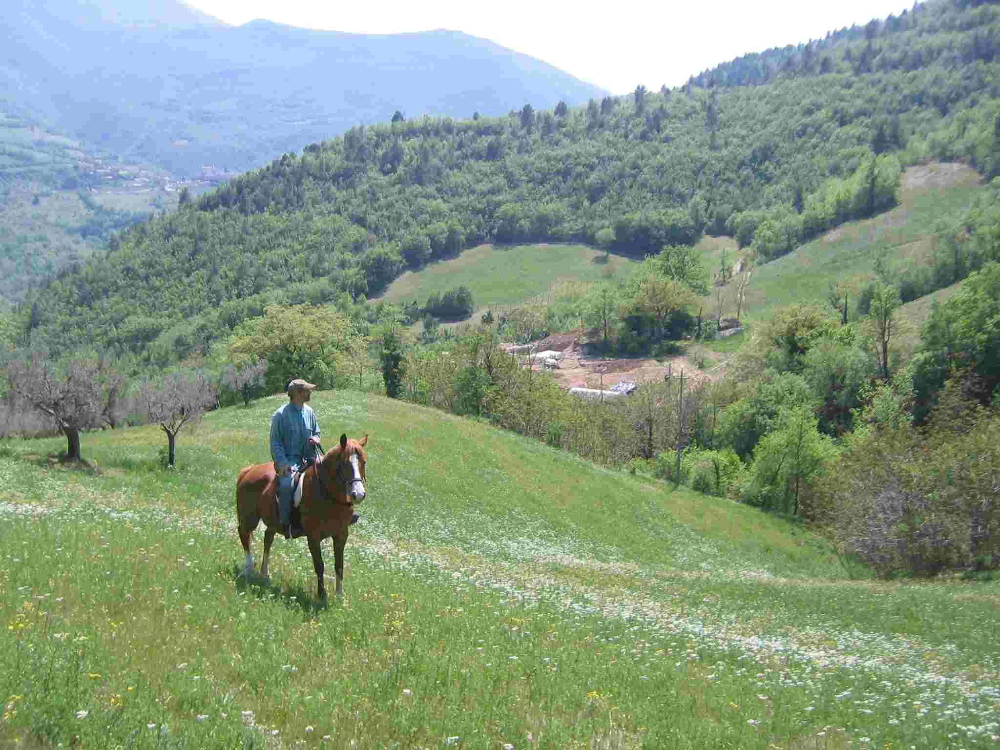 horsebackview.jpg