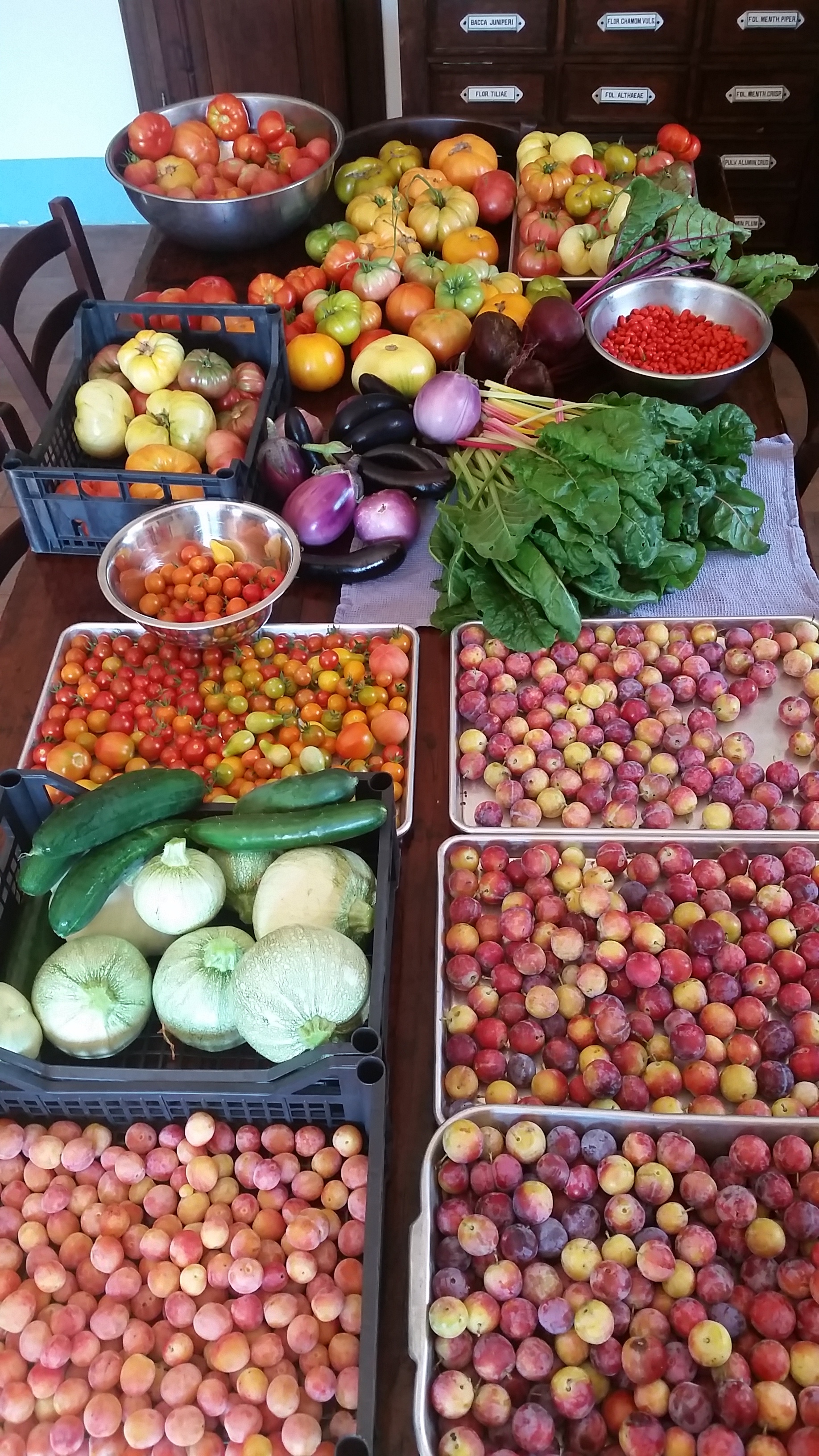 vegtable.jpg