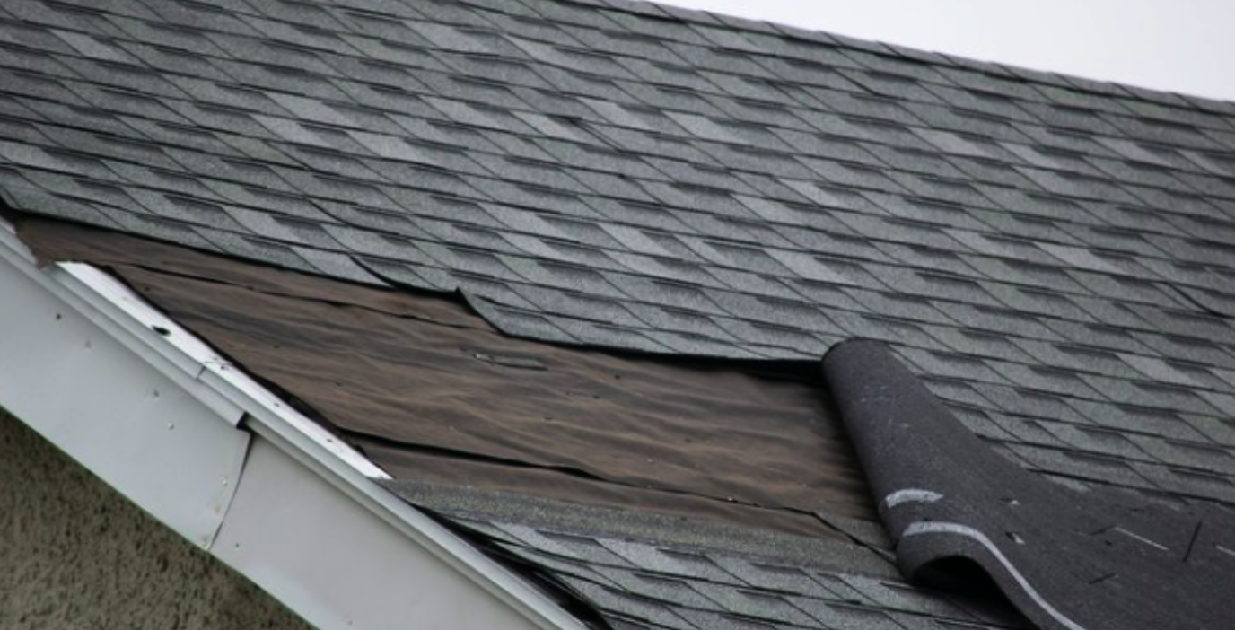 What We Learned From the Historic Windstorm