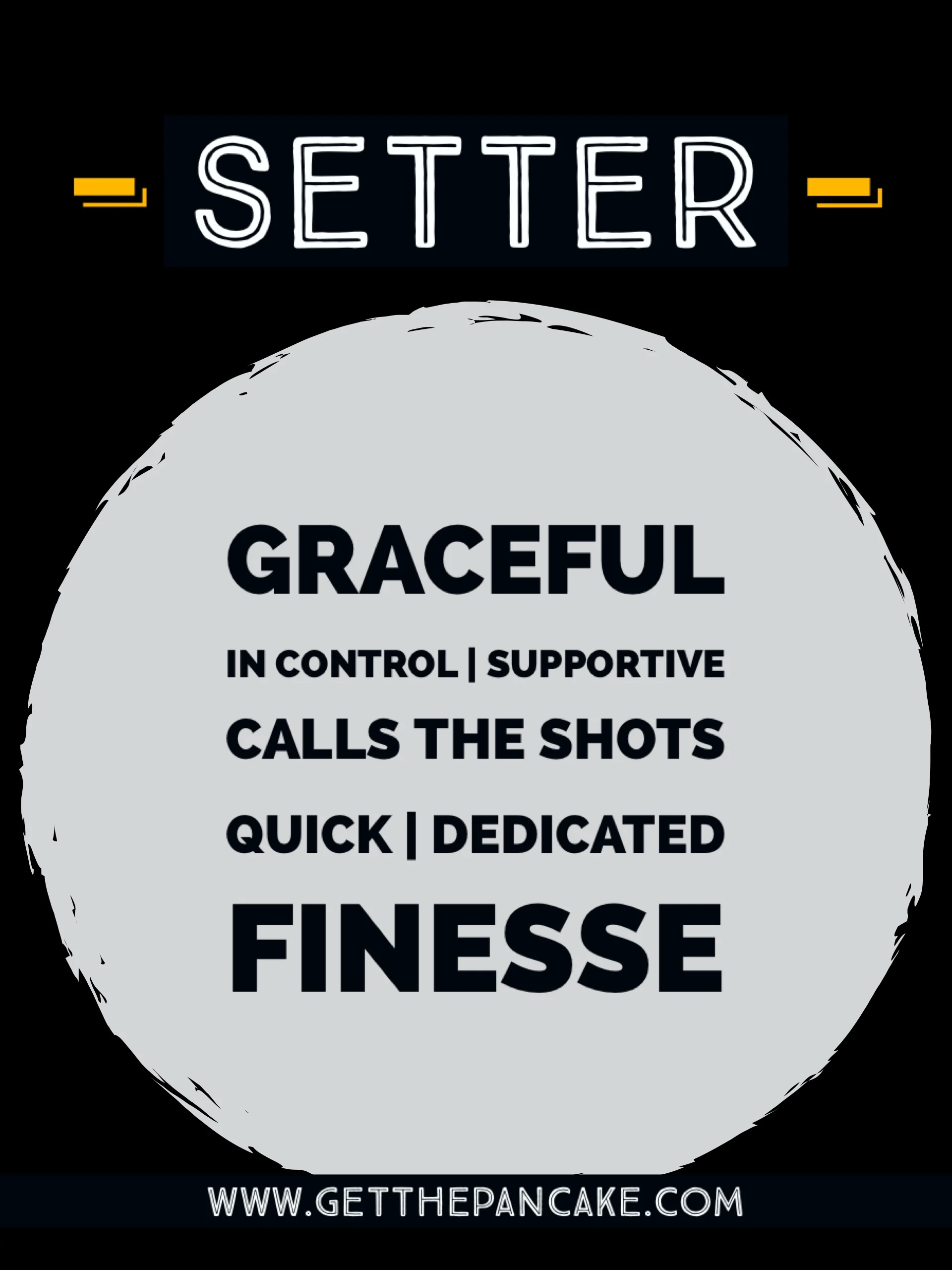 Volleyball Setter Description