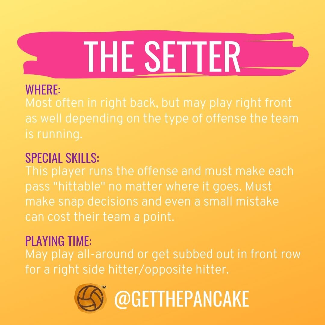 The Setter.jpg