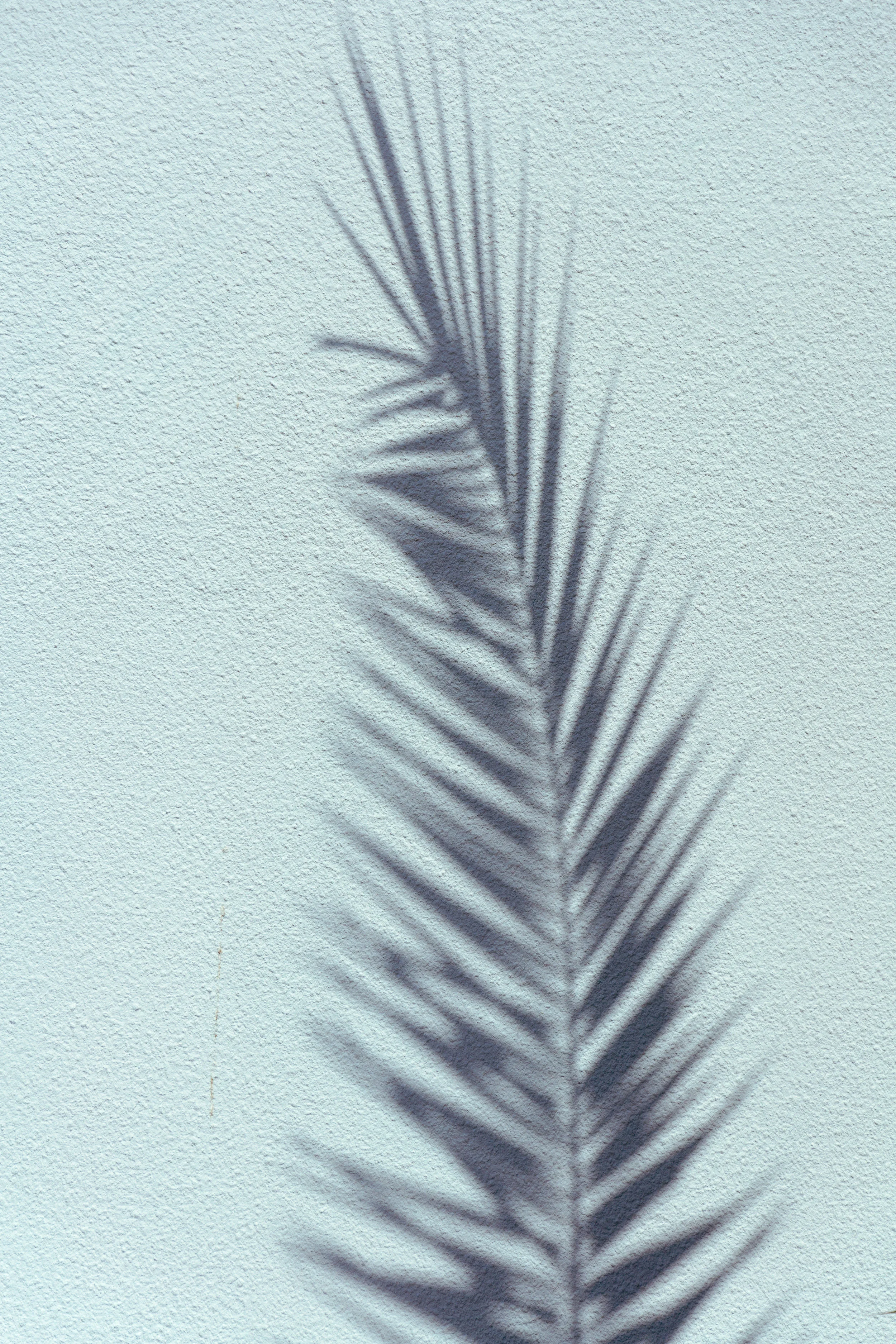 Composition #355.jpg