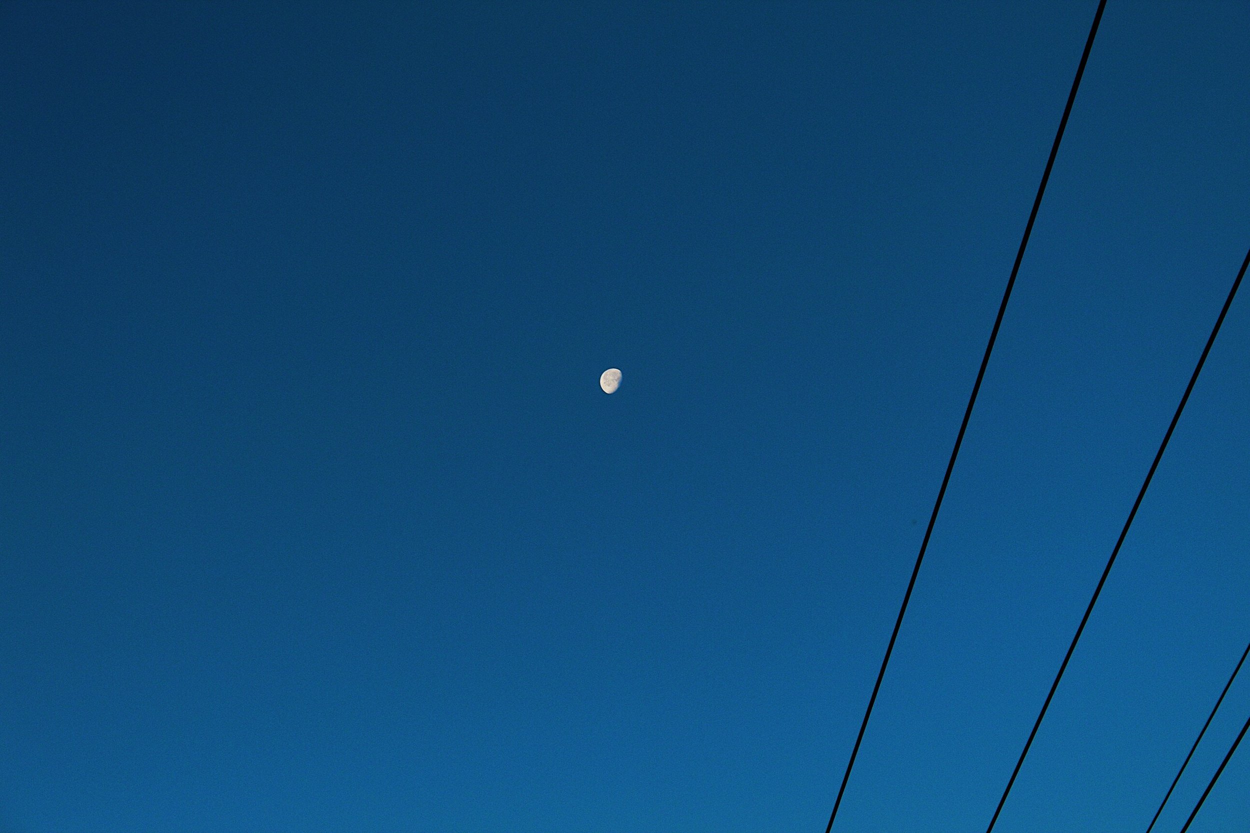 C3E44BE1-F42C-4459-BE9E-A27FDB6CC3C2.jpeg