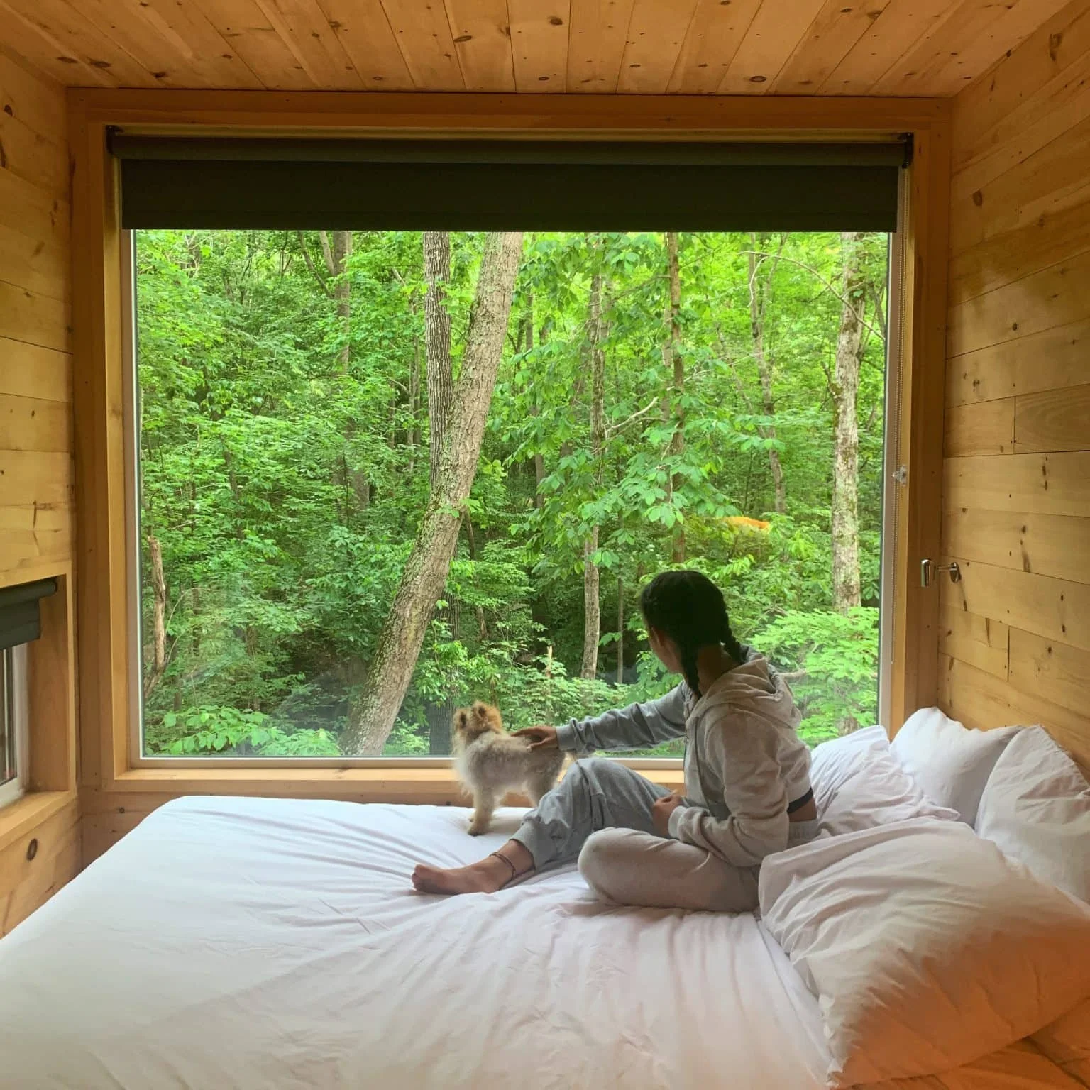This tiny house retreat helped me unplug and reconnect with what matters most