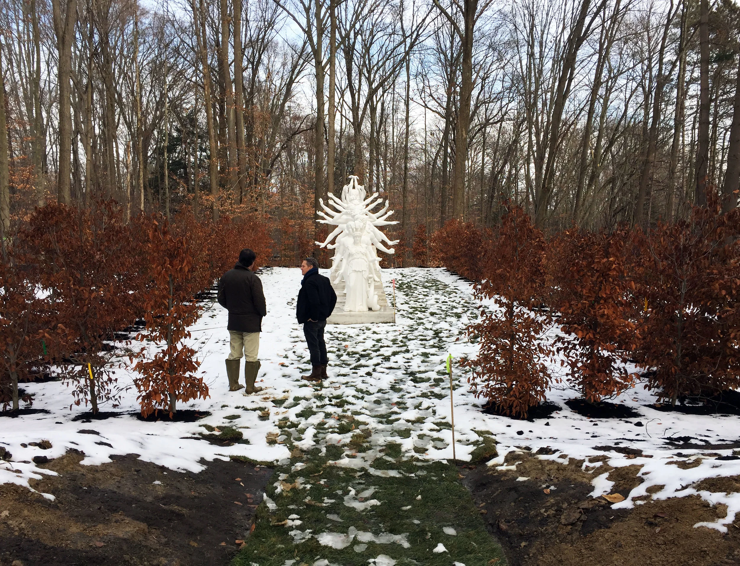  the beech tree hedge will grow over time and create a room for the sculpture 