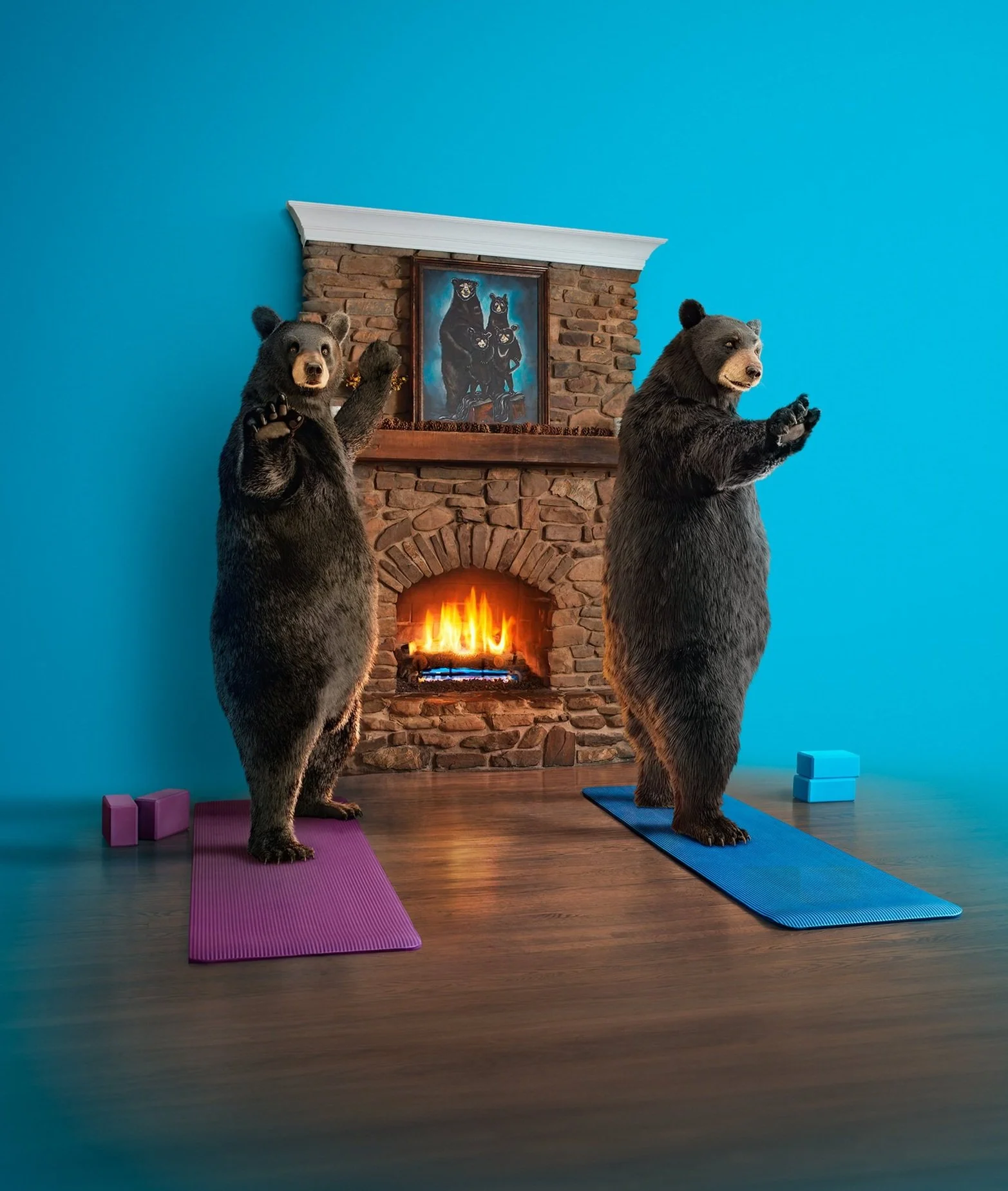Bear+Yoga+for+Print_wip4.jpg