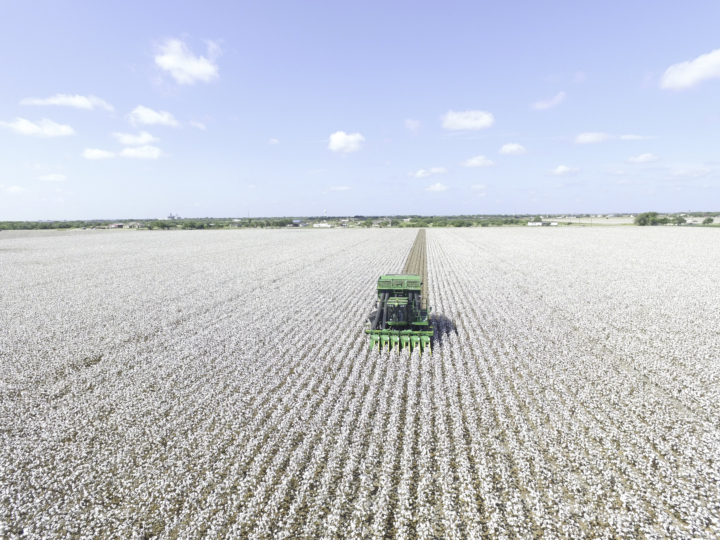 whatley farms 2017 cotton picker.jpg
