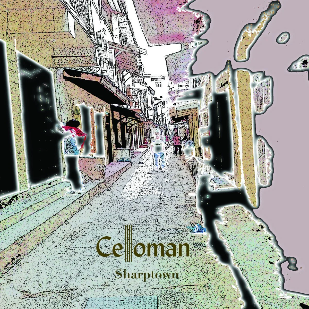 2008 - celloman sharptown.jpg