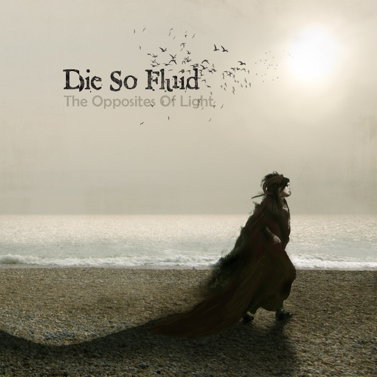 2014 - die so fluid - opposites of light.jpg