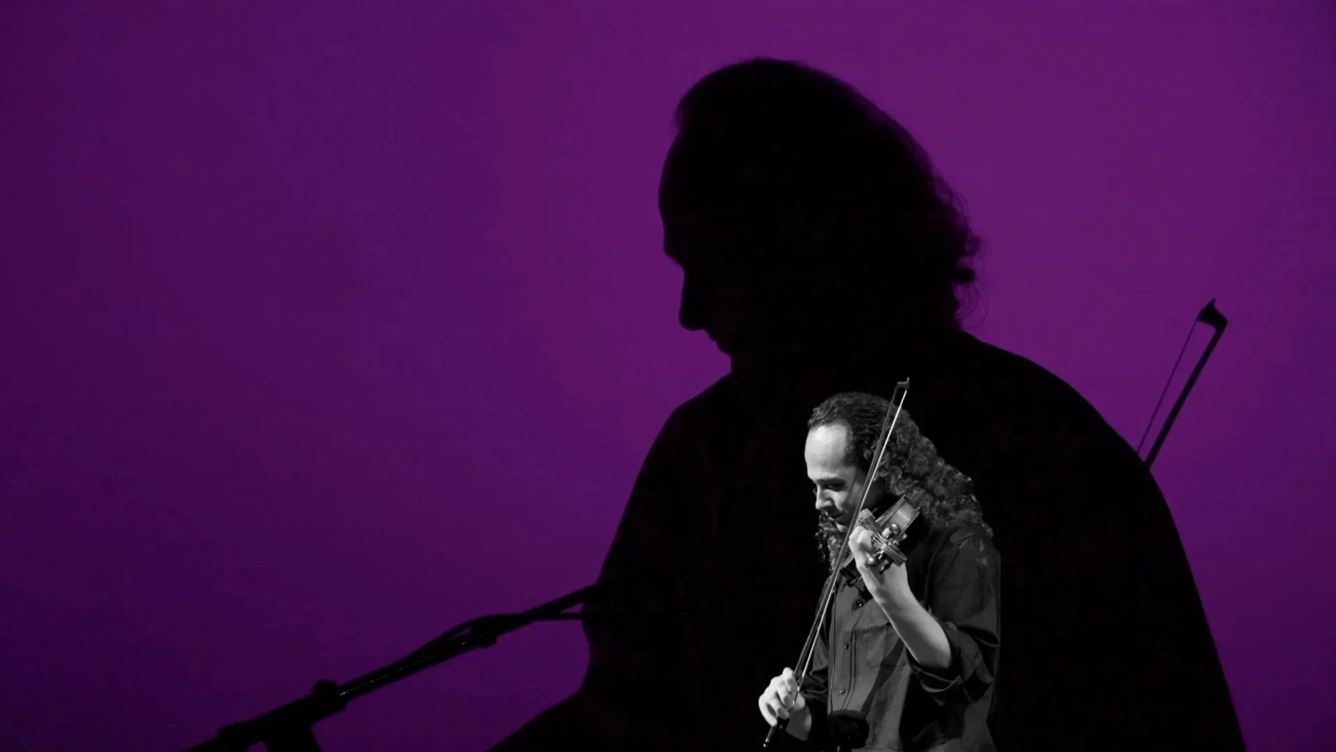 WebComp 01 - Purple - samybishai.com.jpg