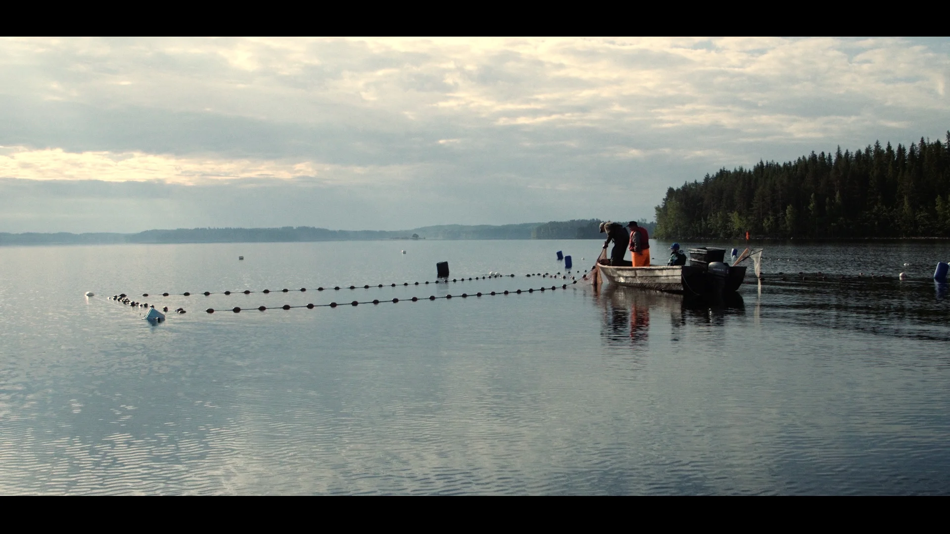 pulling in nets summer 2.jpg