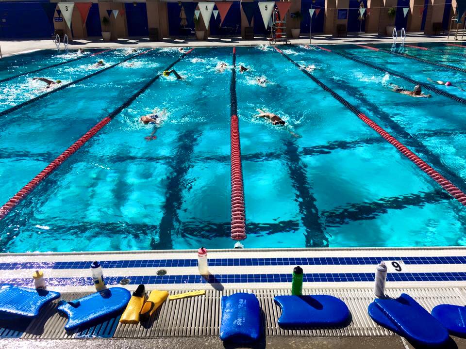 swim moving.jpg