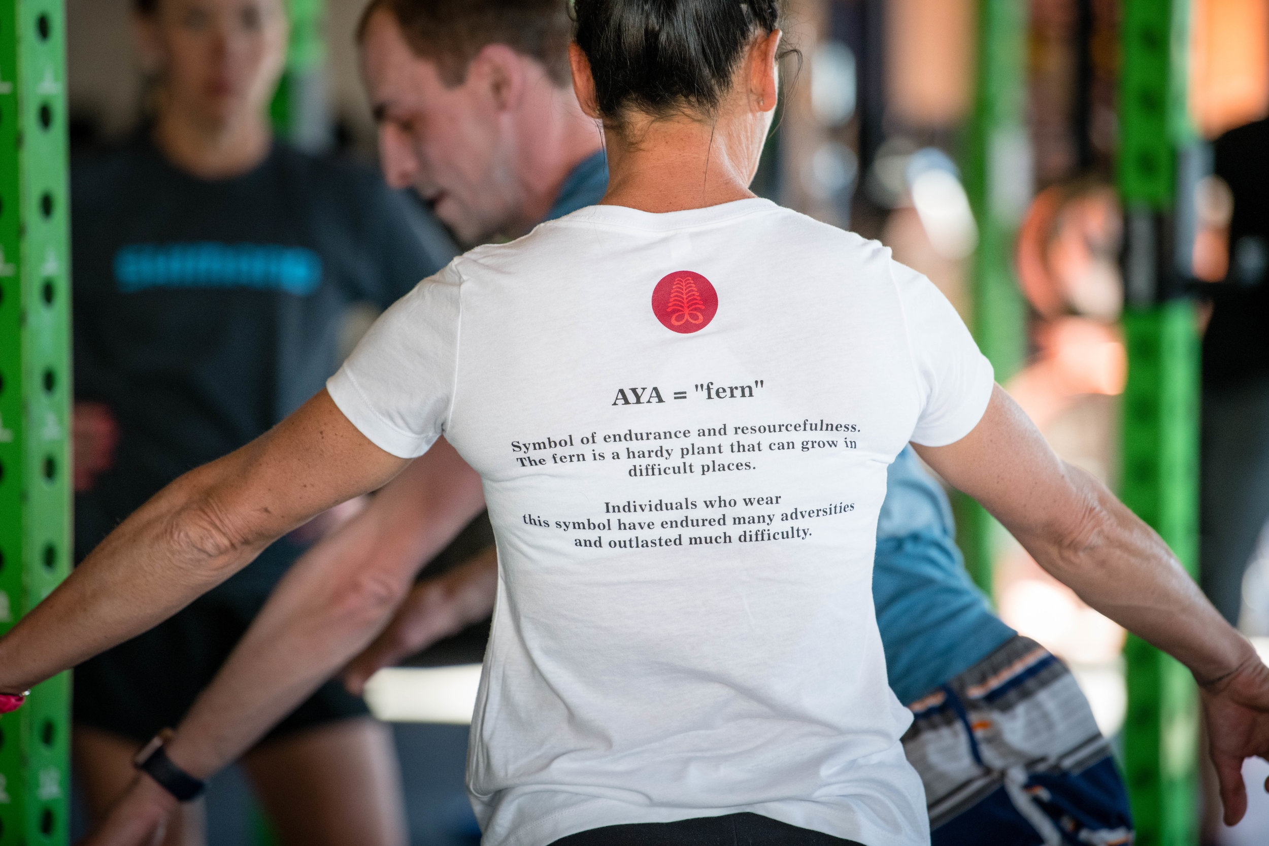 Systematic Recovery and Regeneration Guidelines