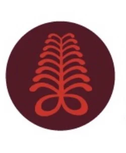 The MCC Logo- AYA Fern 