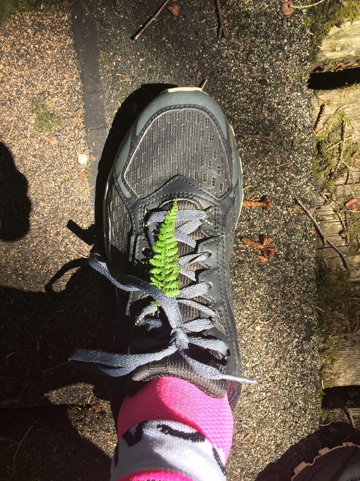 Three Key Points to Achieving Your Goals