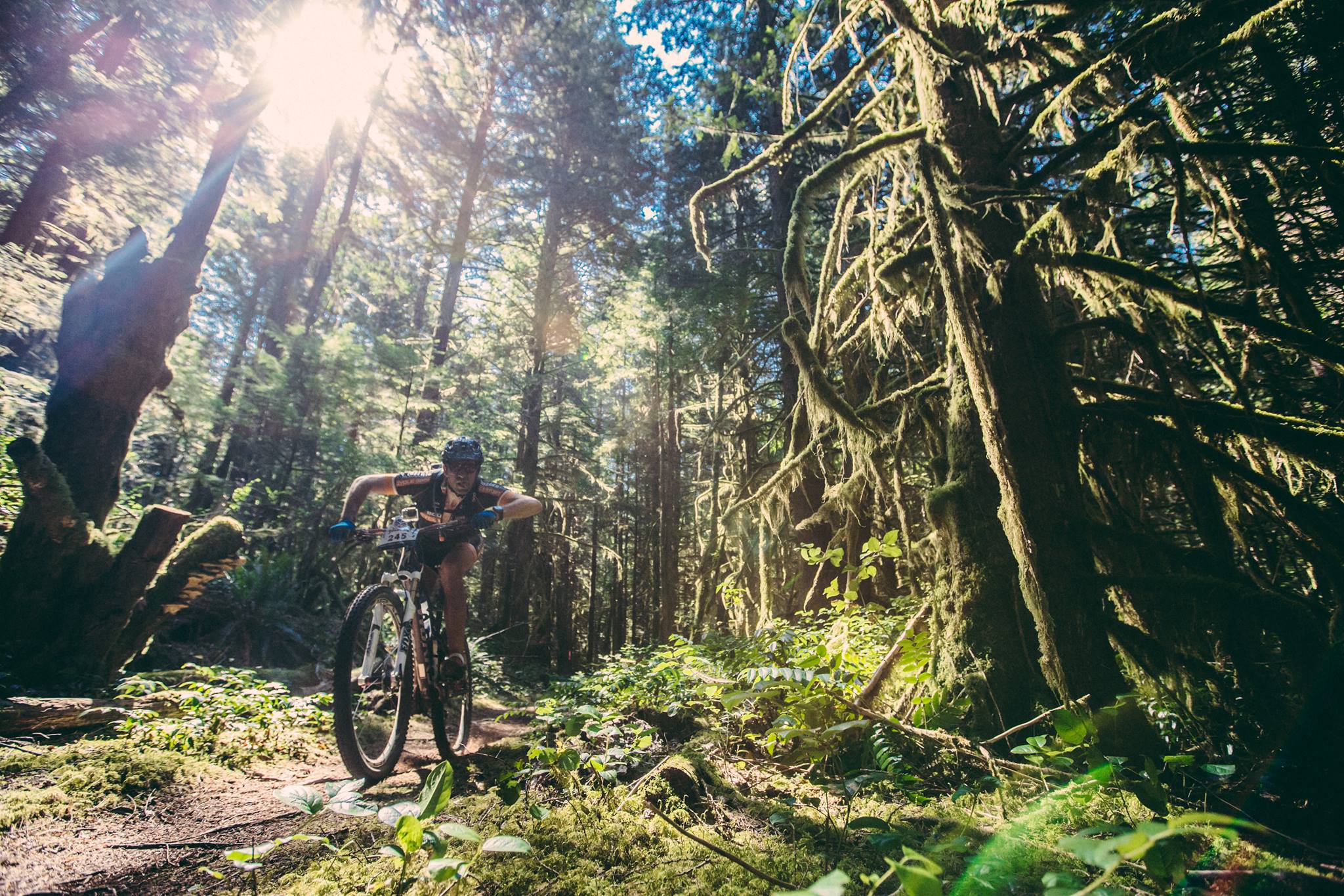 Coping with Anxiety and Mental Health - by Mikkel Bondesen