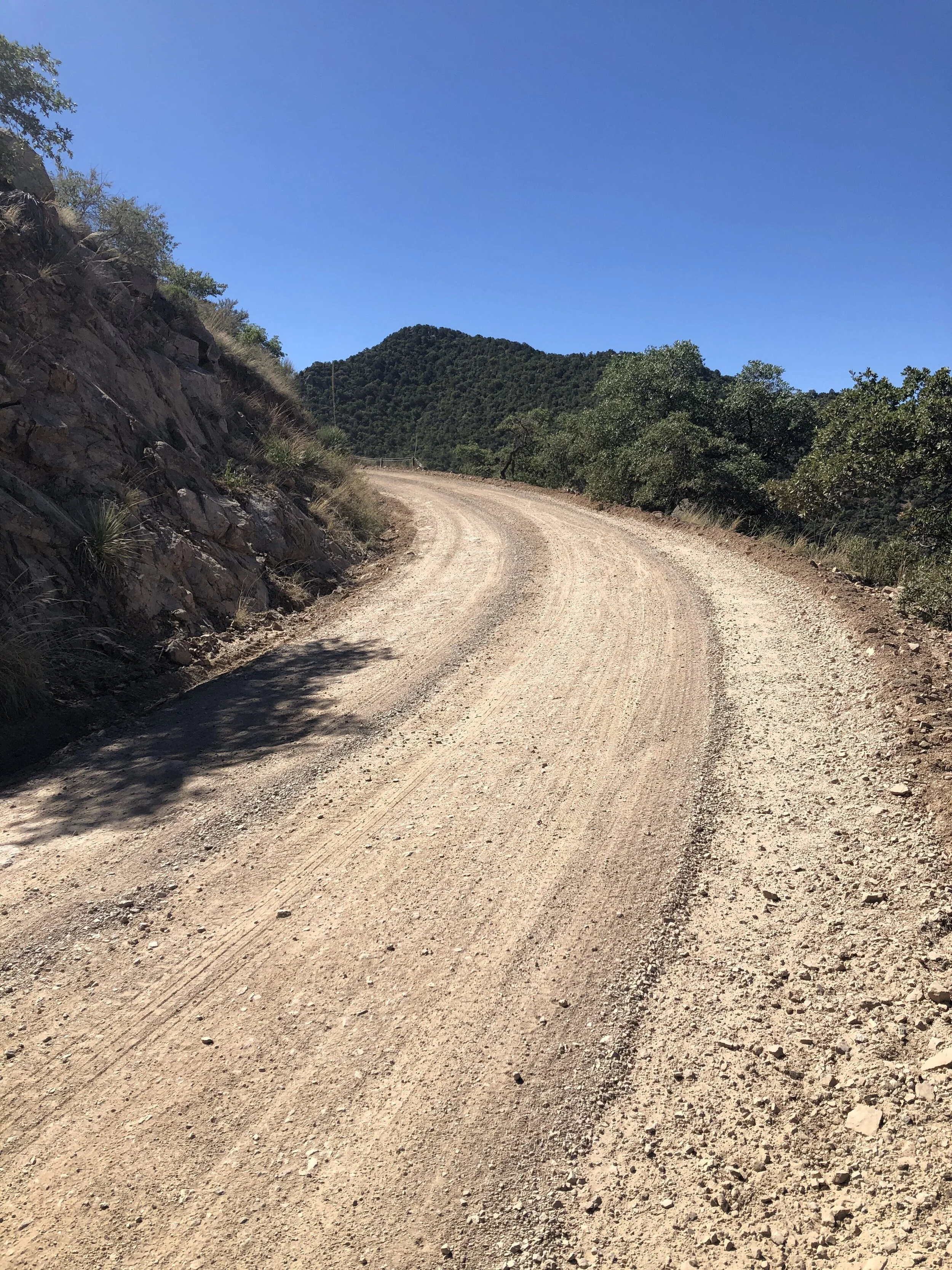 Staying On Top of Change