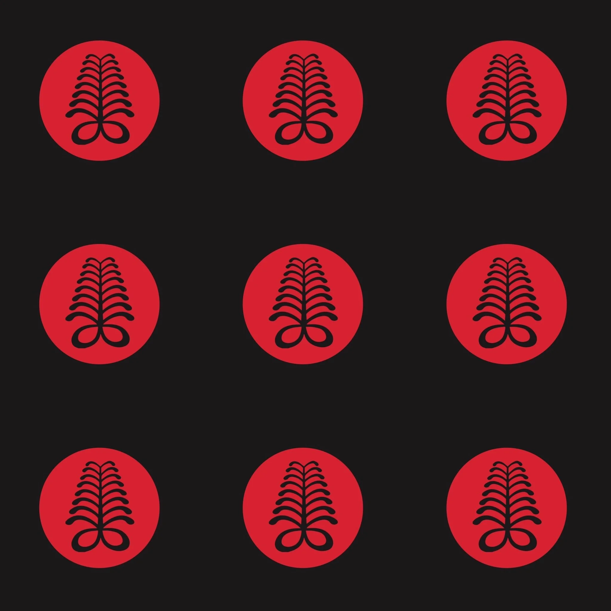 Ben Hoffman Interview St George Ironman World Championships 2021