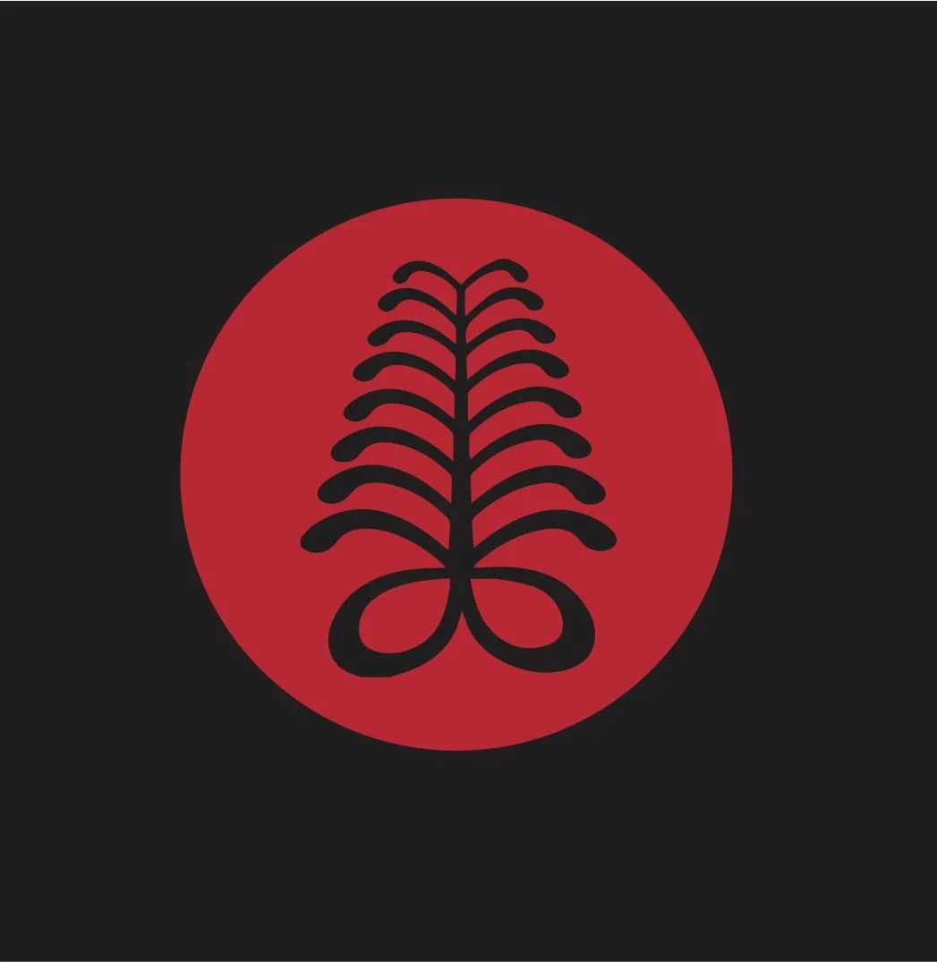 The Foundation: Understanding Growth &amp; Progress