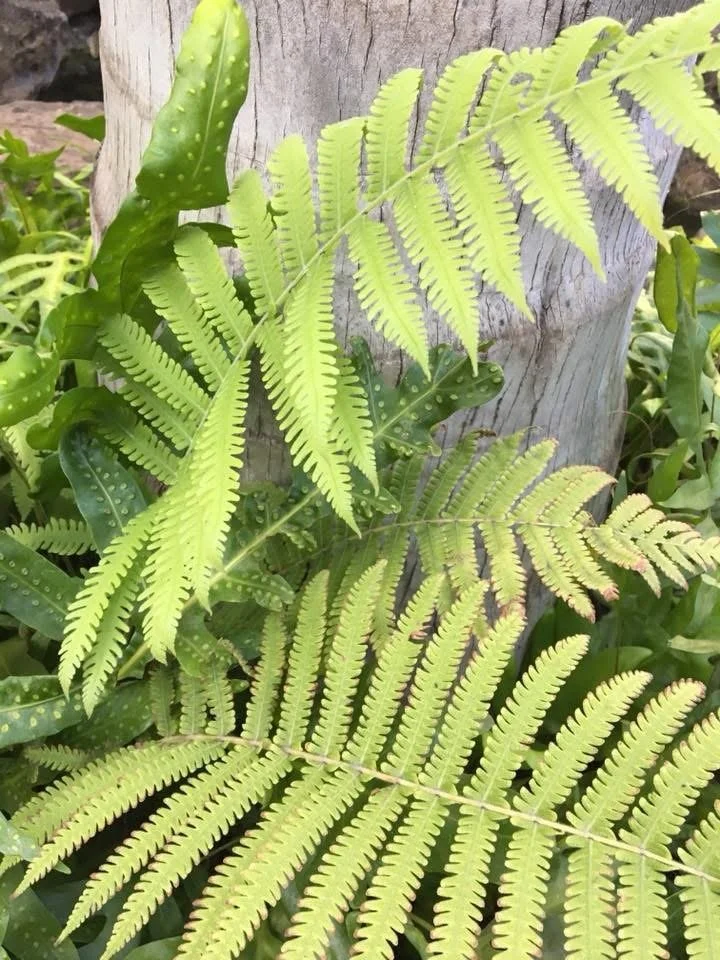 Excuses Are Easy — But They’re Costing You Everything