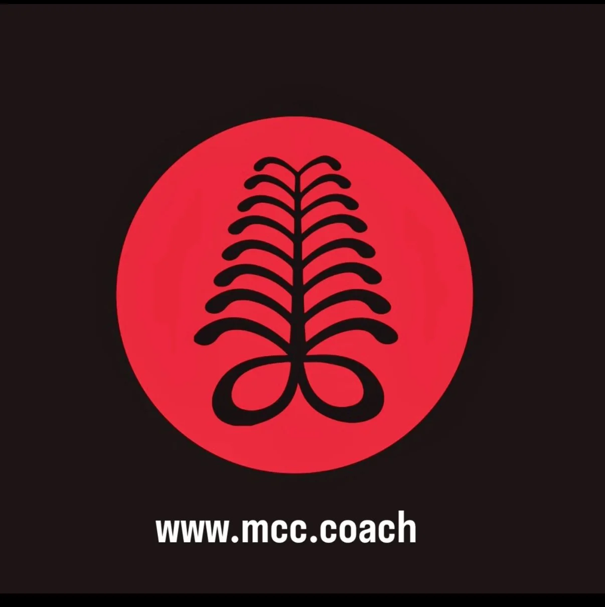 Internal Focus for Athletes