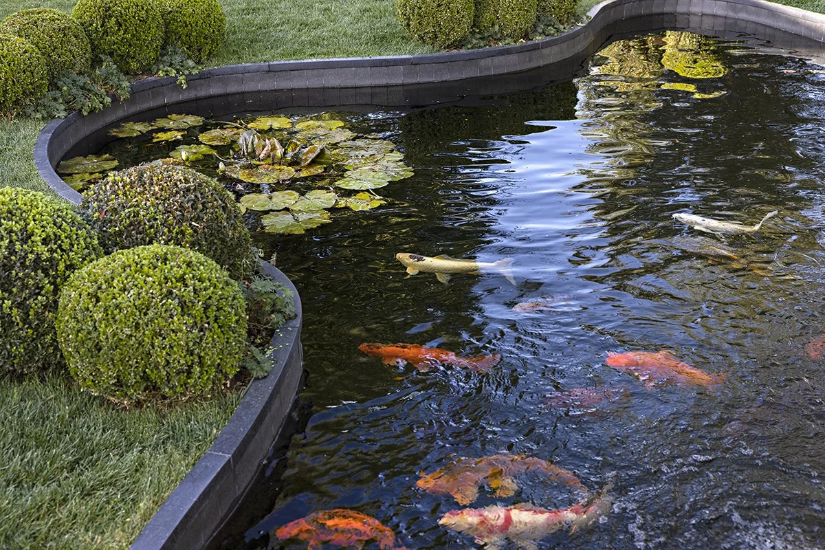 Karyn Millet_65A0157R.jpg