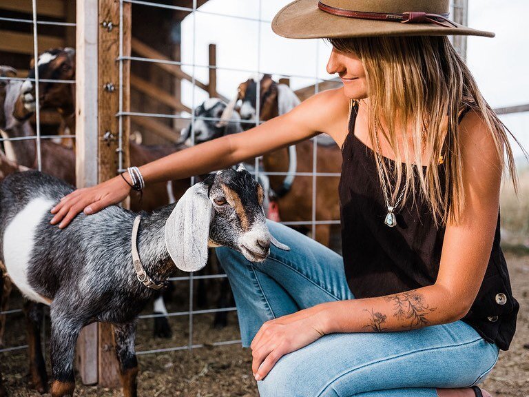 Meet Mary Kate - the sweetest goat at @winterwindsfarm here in Teton Valley. Besides our sourdough, the most important ingredient in our pizzas is the cheese. Dairy has gotten a bad rep in our western culture yet it&rsquo;s so nutritious for our bodi