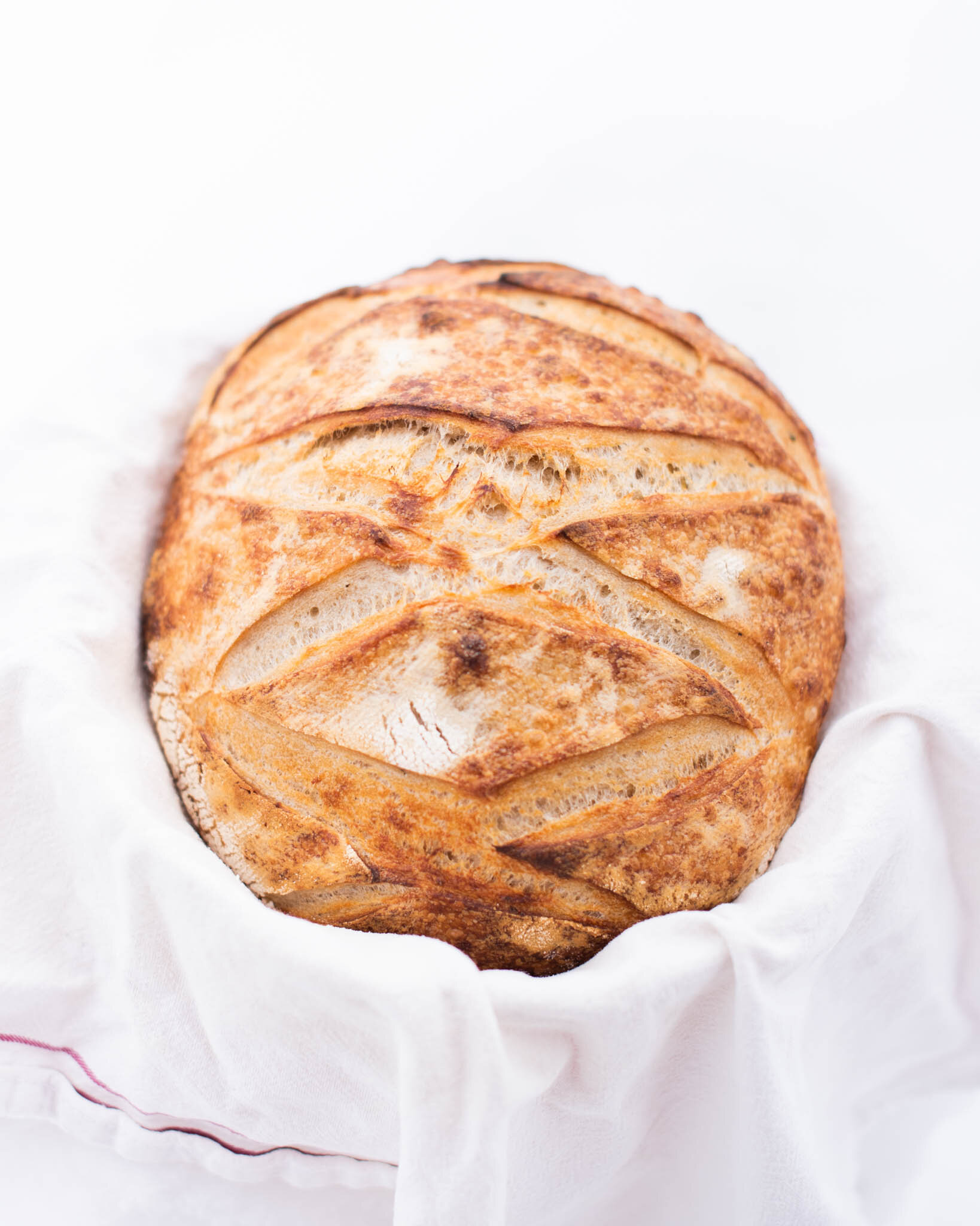 Gutsy Grain Sourdough Bundle