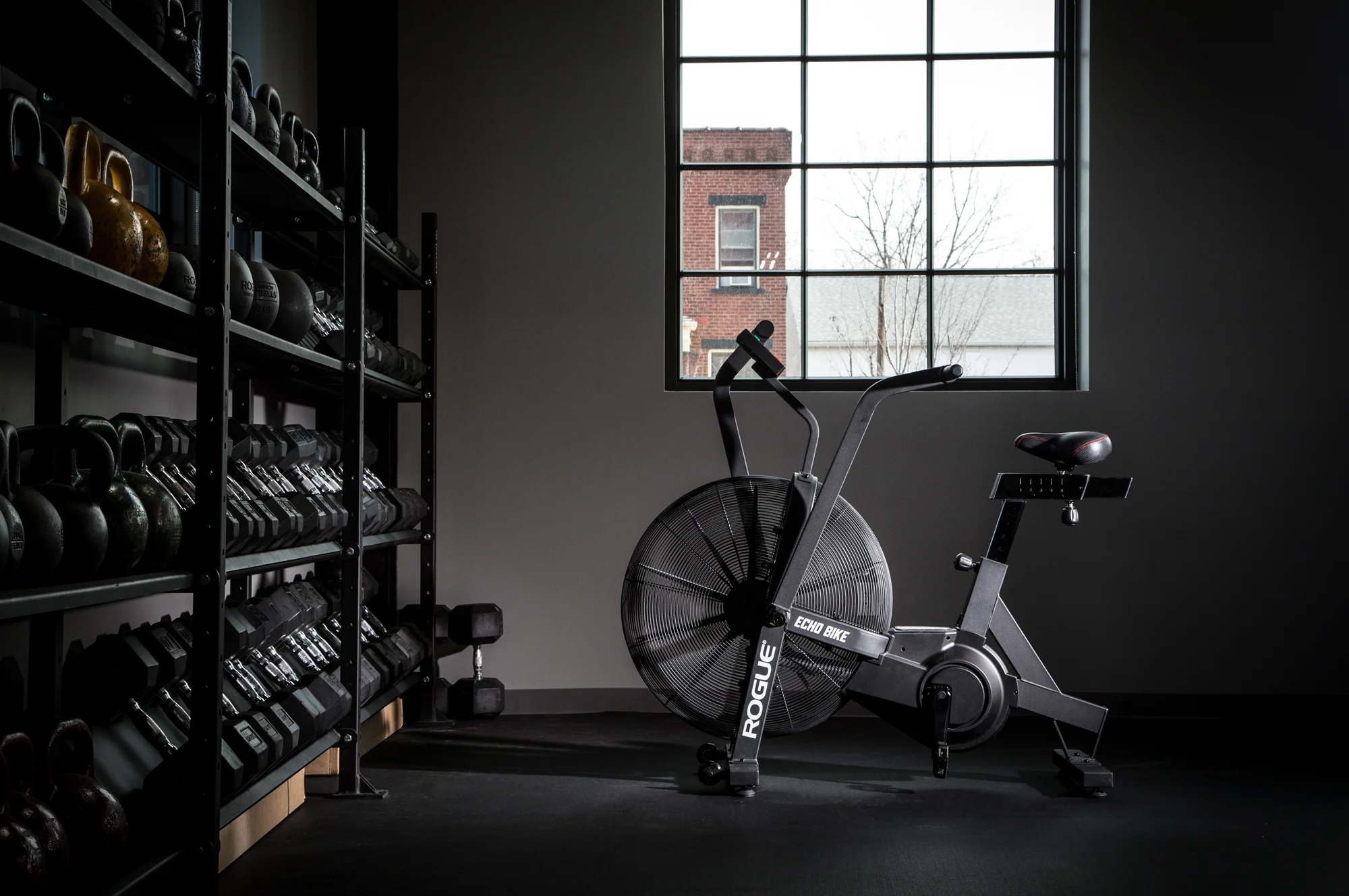rogue-echo-bike-2.jpg