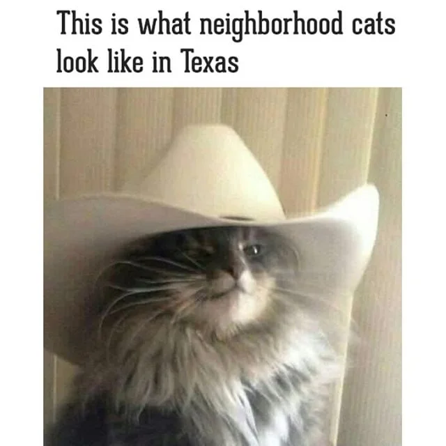 Newest member: will cover reception duties 😂

#houston #houstonblogger #springbranch