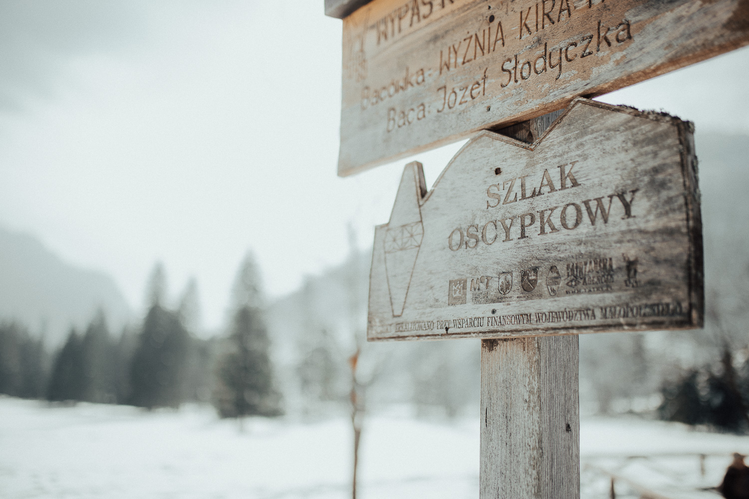 Destination-Wedding-Photographer-couple-in-mountains-1-12.jpg