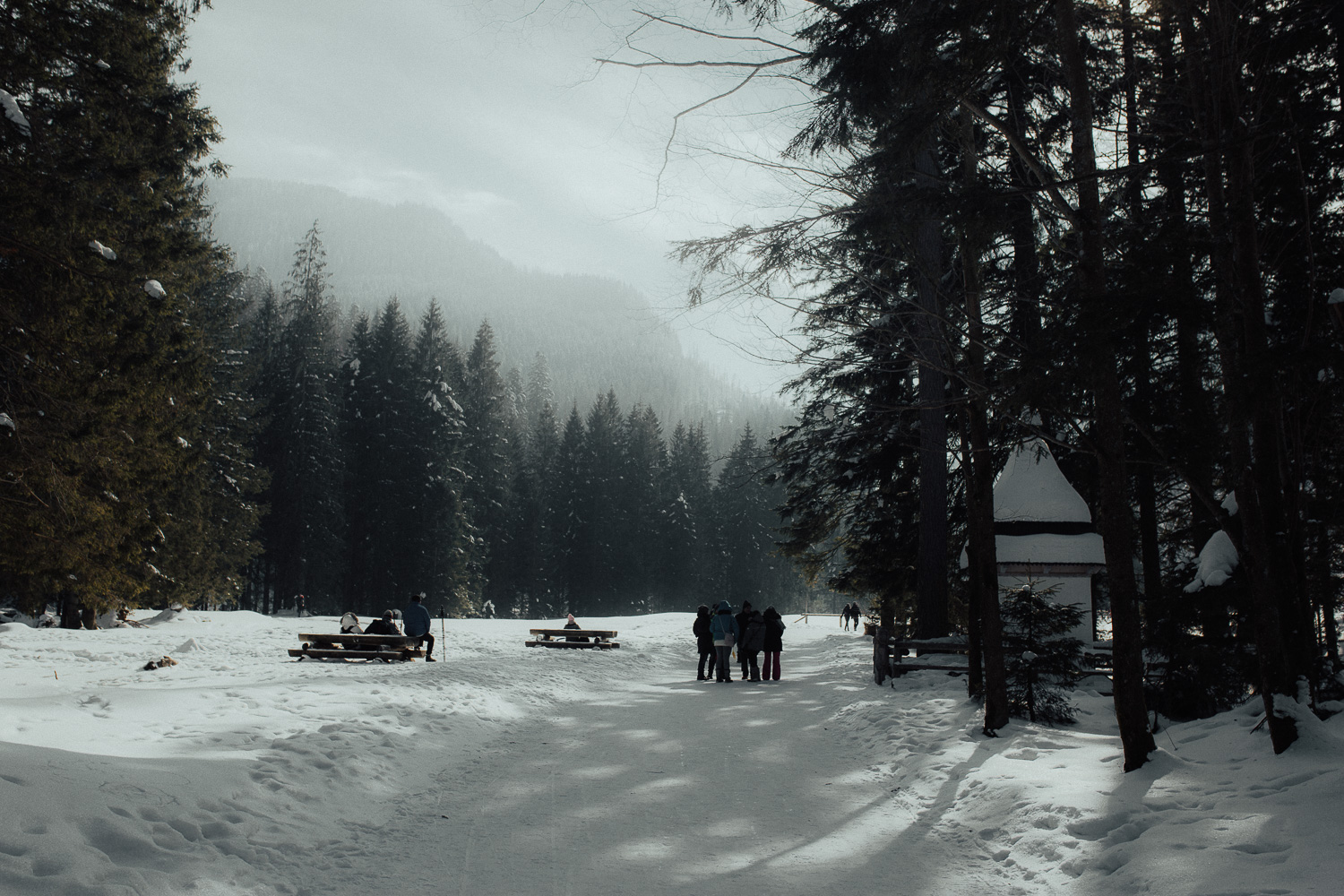 Destination-Wedding-Photographer-couple-in-mountains-1-13.jpg